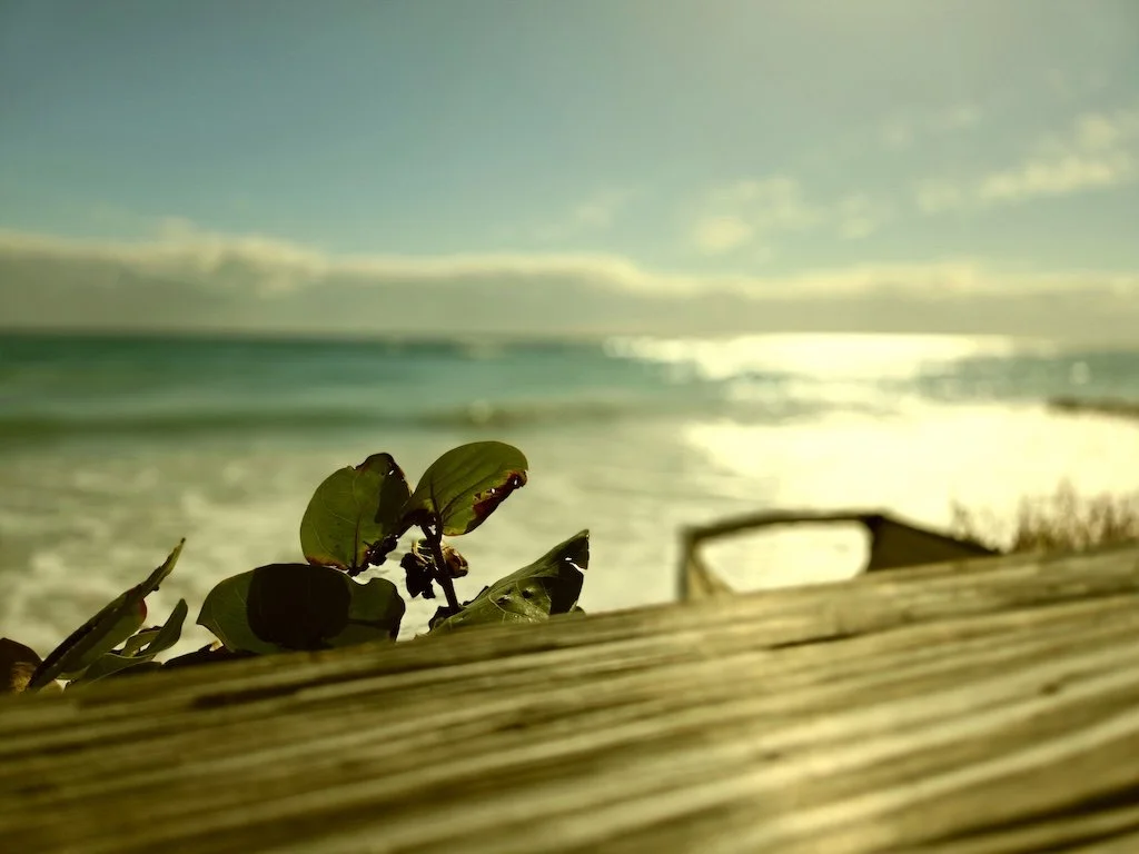 Good and Seen/ The Quiet Power of Being Fully You (#360)