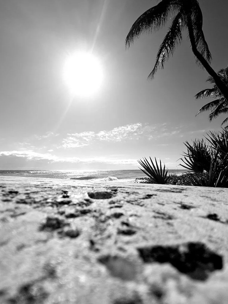 Beat the Procrastination Monster/ Cool Tricks to Get Stuff Done (Without the Stress) (#364)