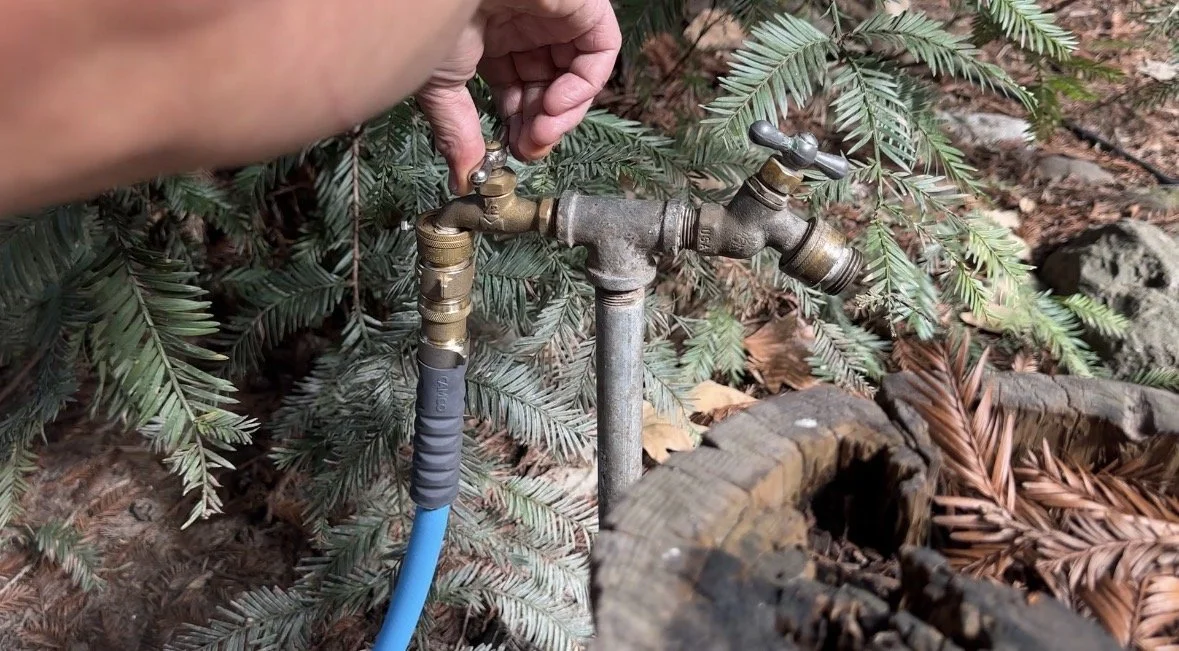 water gold thing.jpg