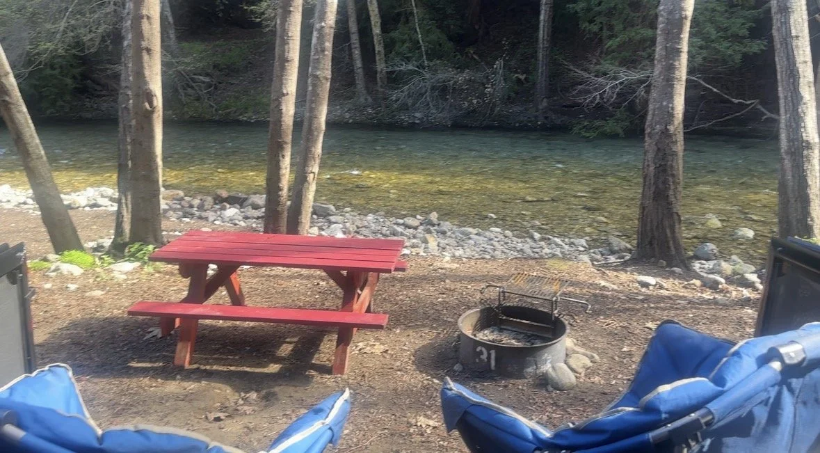 our campsite no 31.jpg