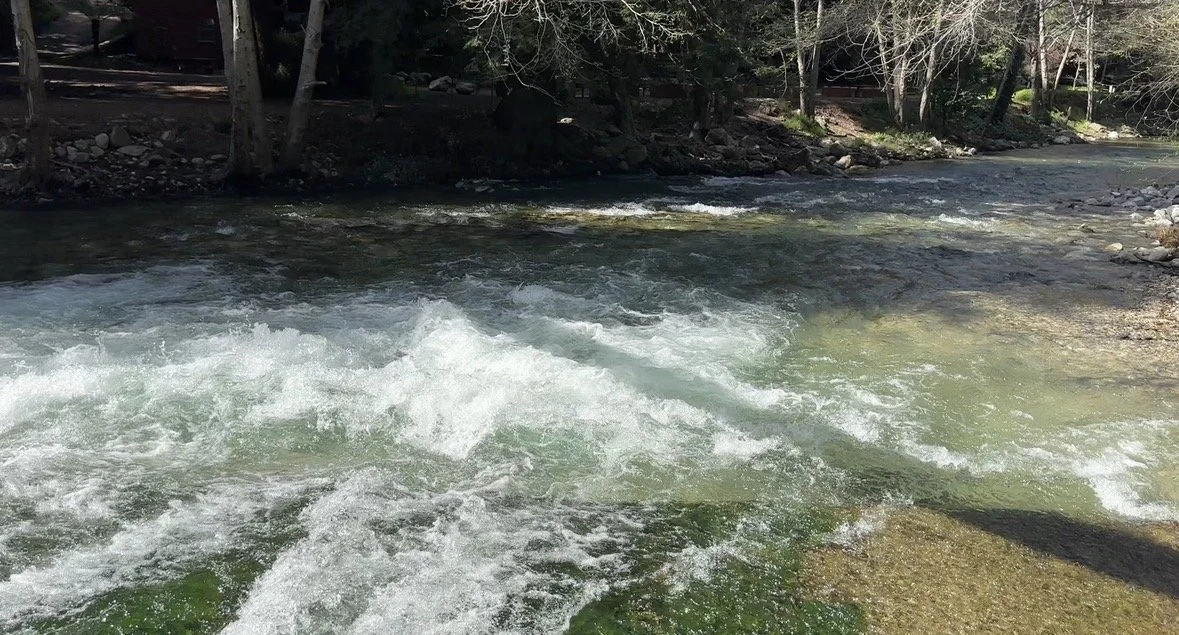 riverside river .jpg