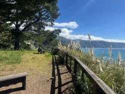 alloutdoors-bug sur-lucia-view.jpg