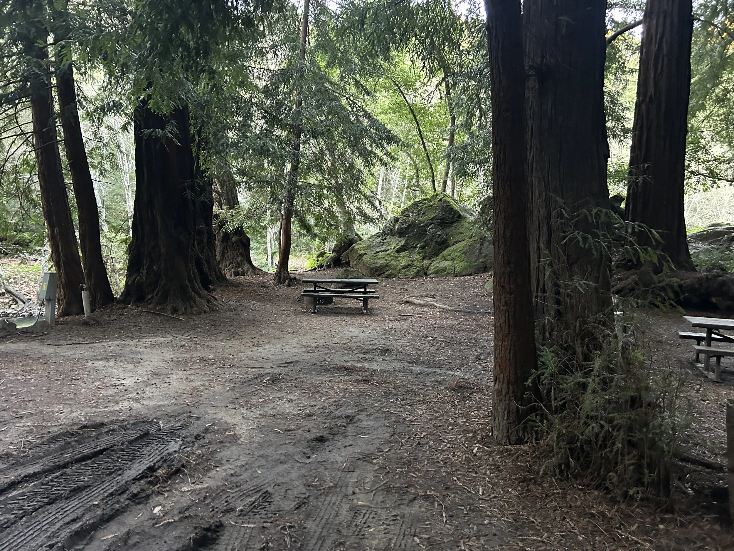 Campsite 10 at big sure campsground.jpeg