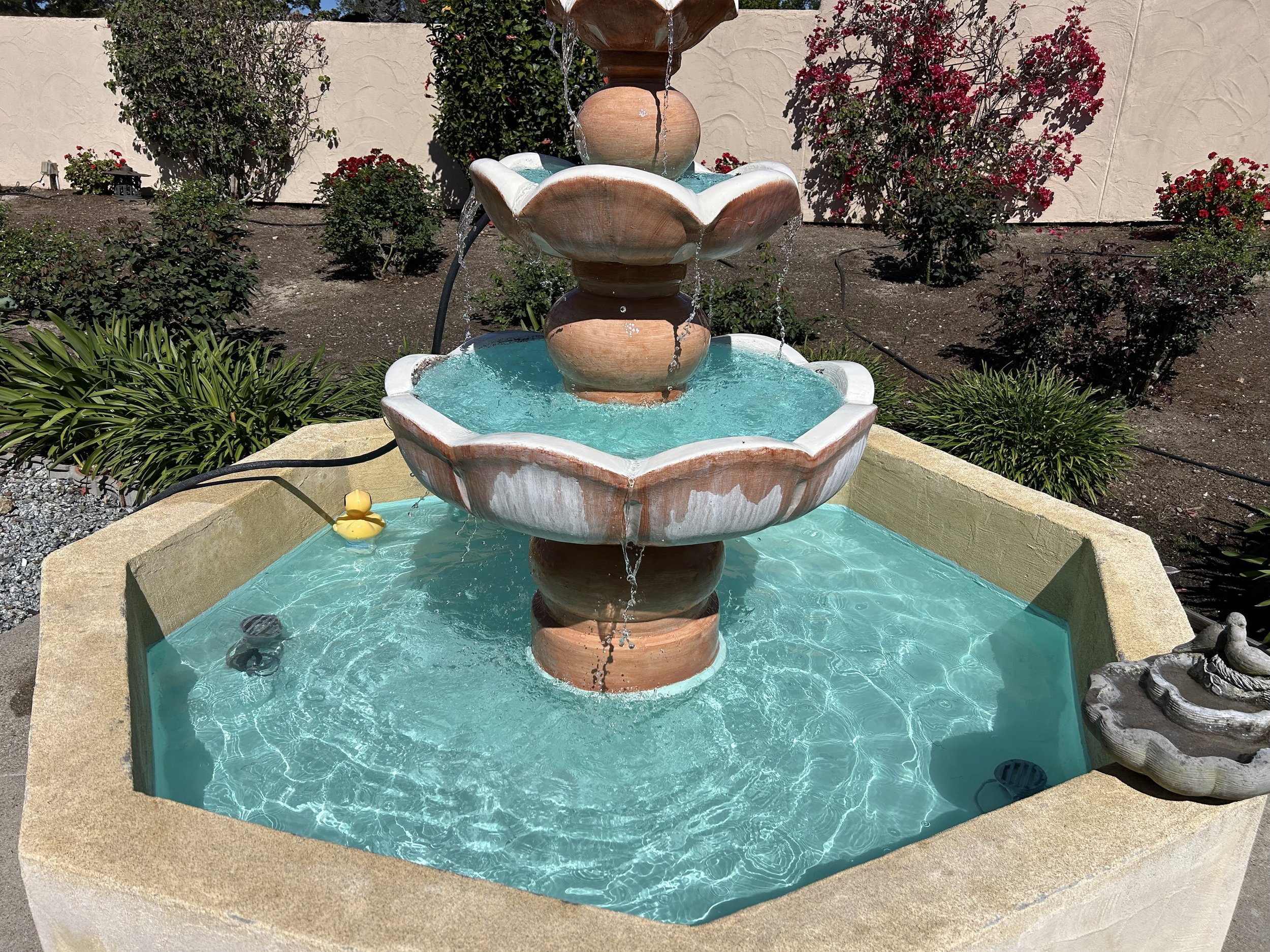 FOUNTAIN 1.jpeg