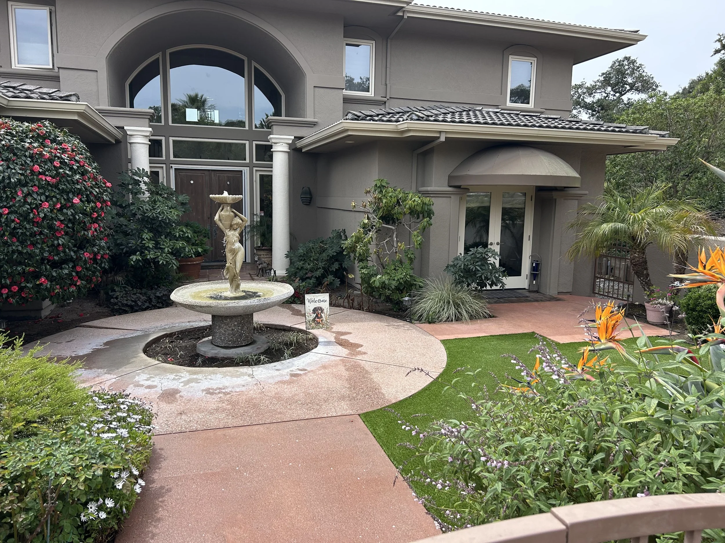 YARD WORK PRESSURE WASHING