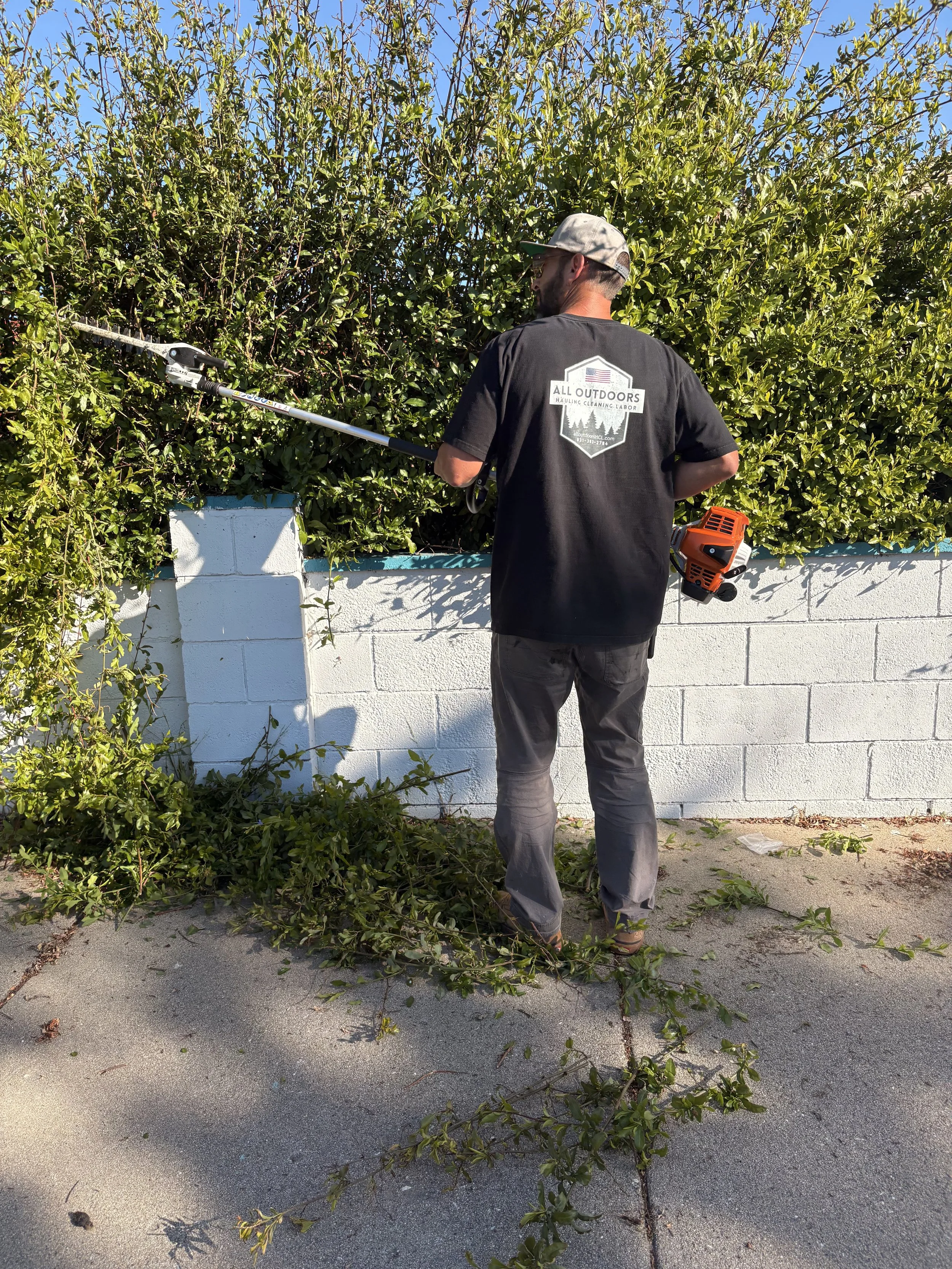 DENNIS WEED WAKING.jpeg