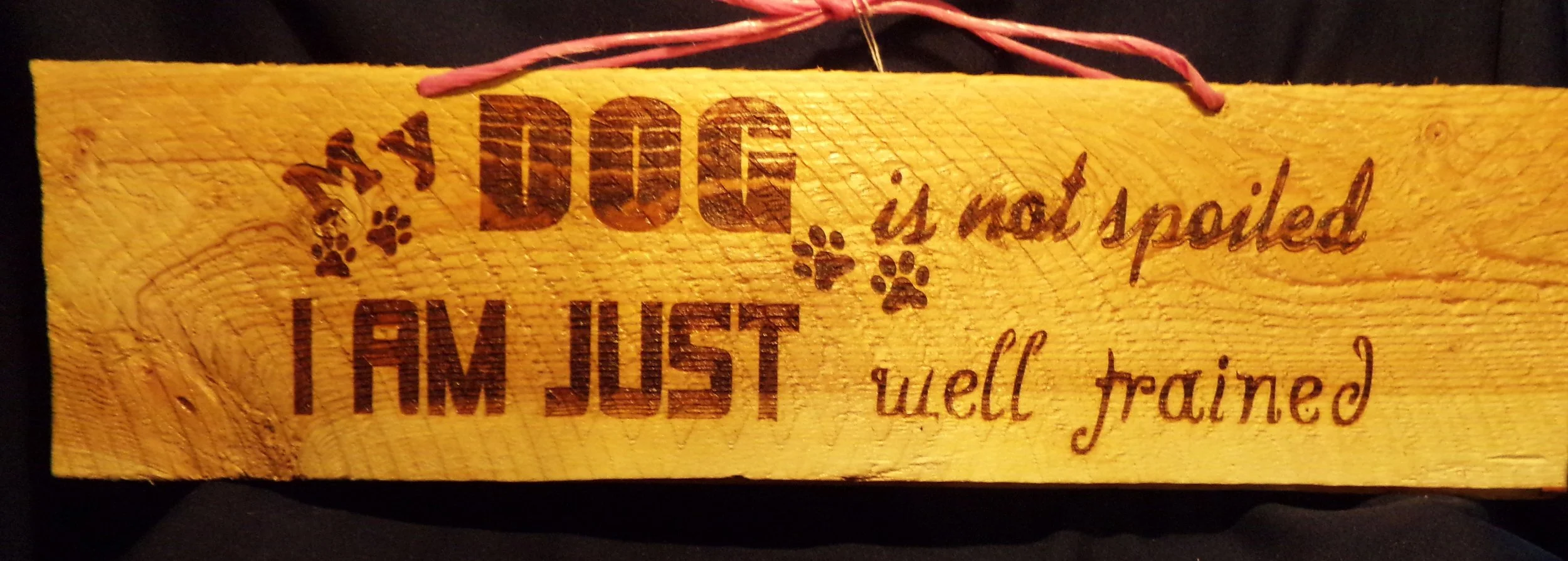 MY DOG IS NOT SPOILED I AM JUST WELL TRAINED.JPG