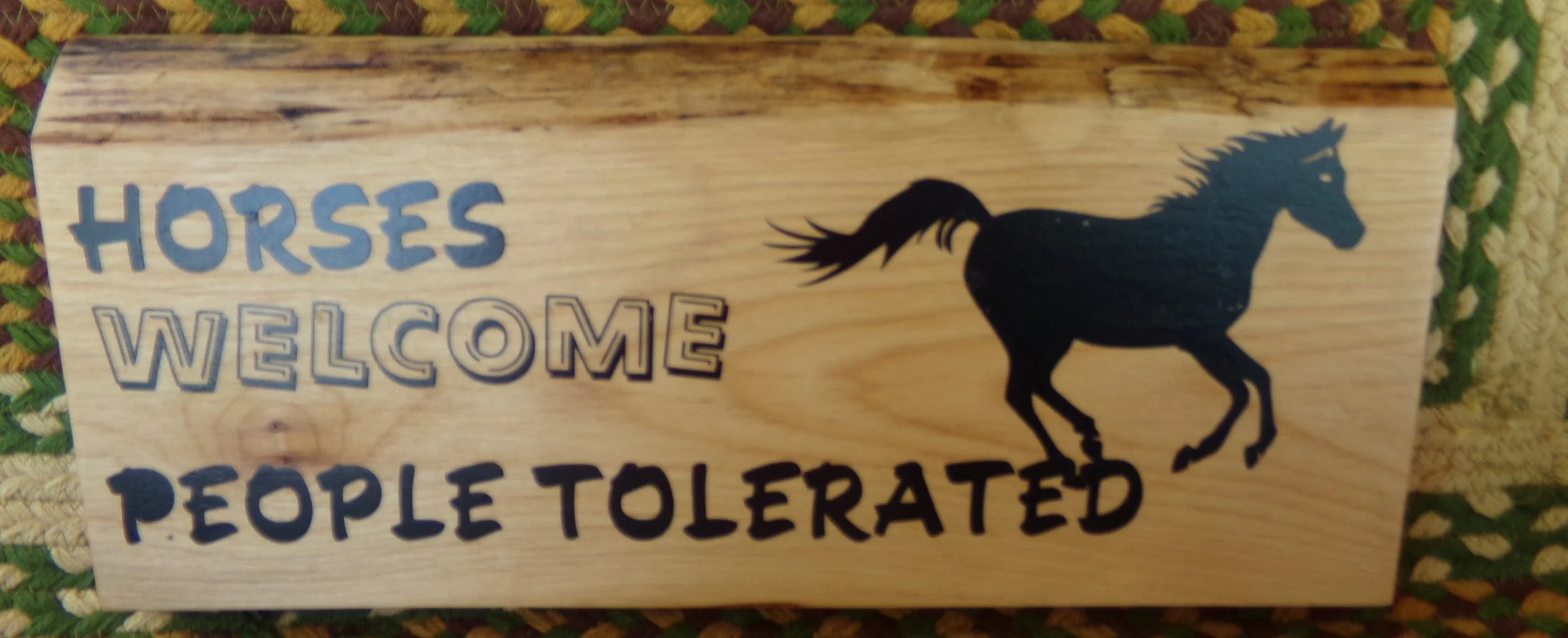 HORSES WELCOME PEOPLE TOLERATED.JPG