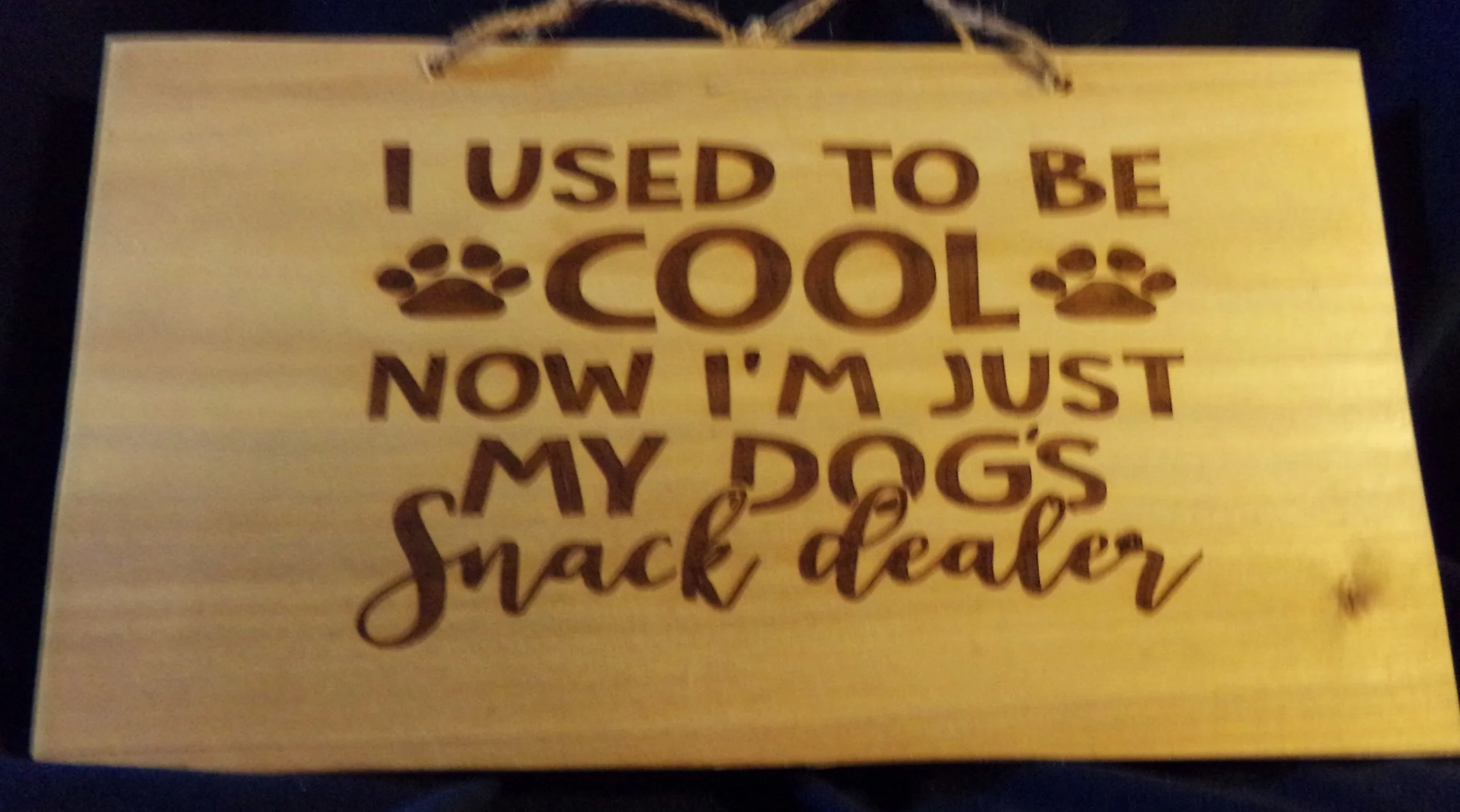 I USED TO BE COOL NOW I'M JUST MY DOGS SNACK DEALER.JPG