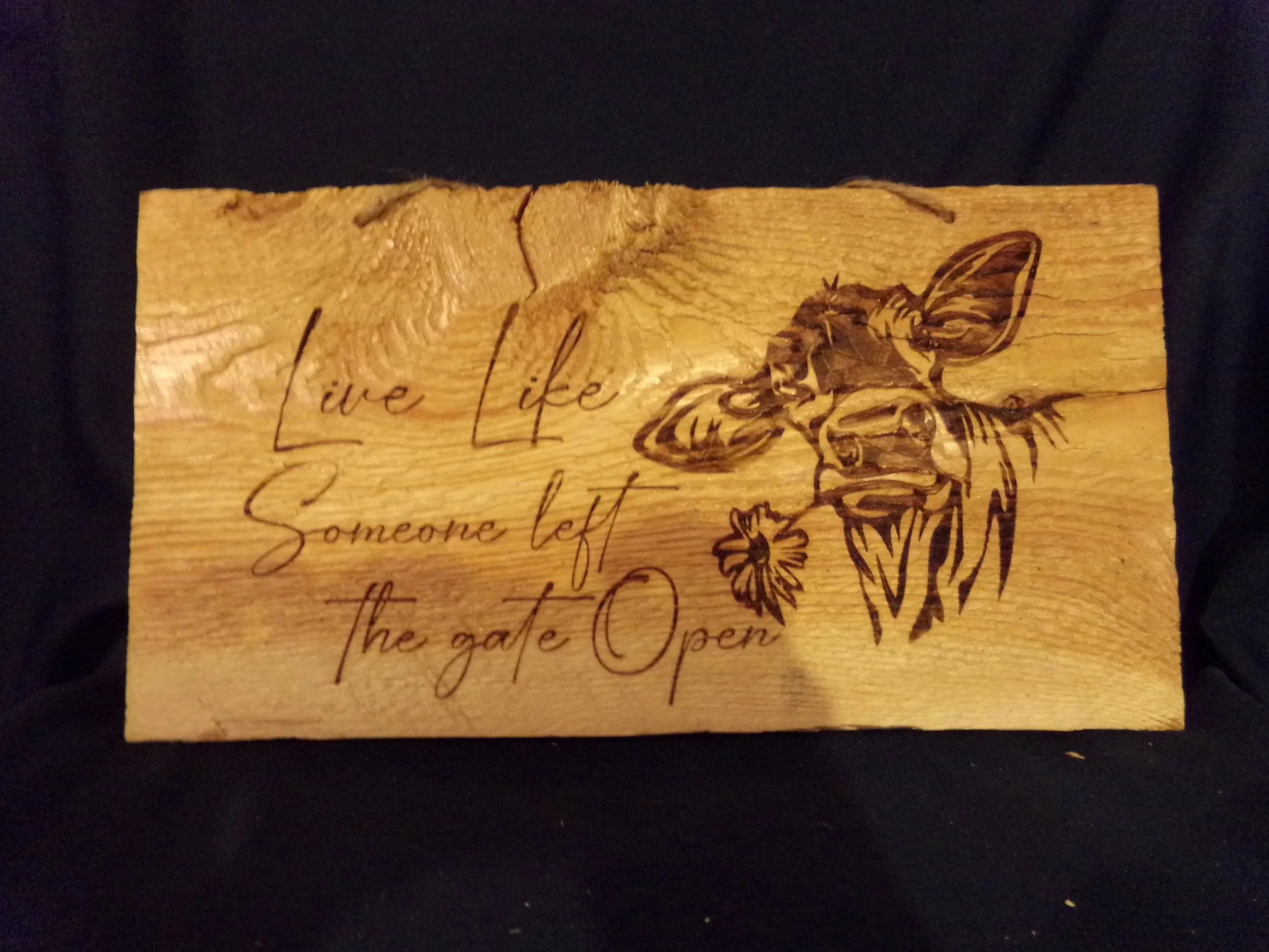 LIVE LIKE SOMEONE LEFT THE GATE OPEN.JPG