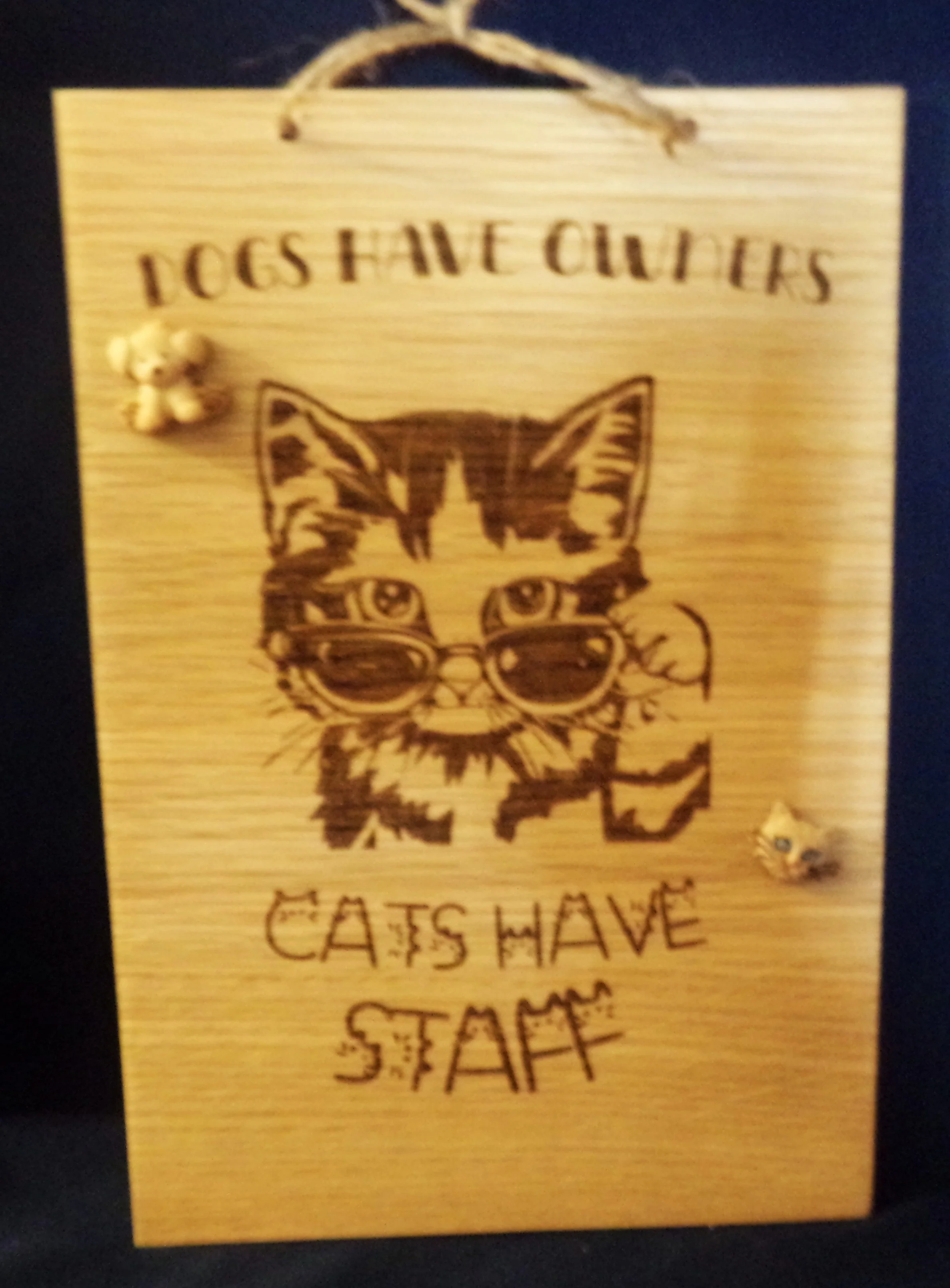 DOGS HAVE OWNERS CATS HAVE STAFF.JPG