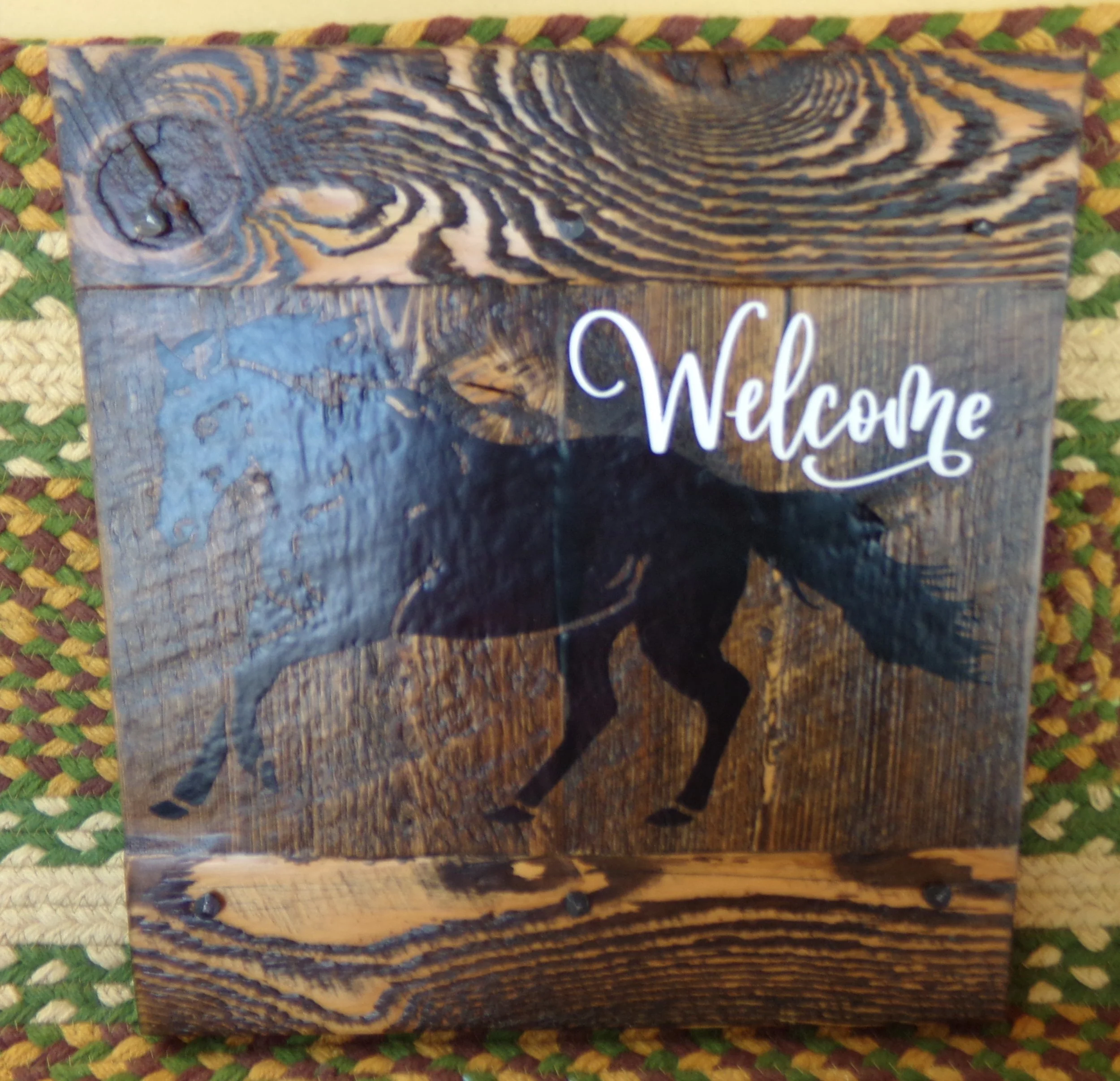 WELCOME HORSE.JPG