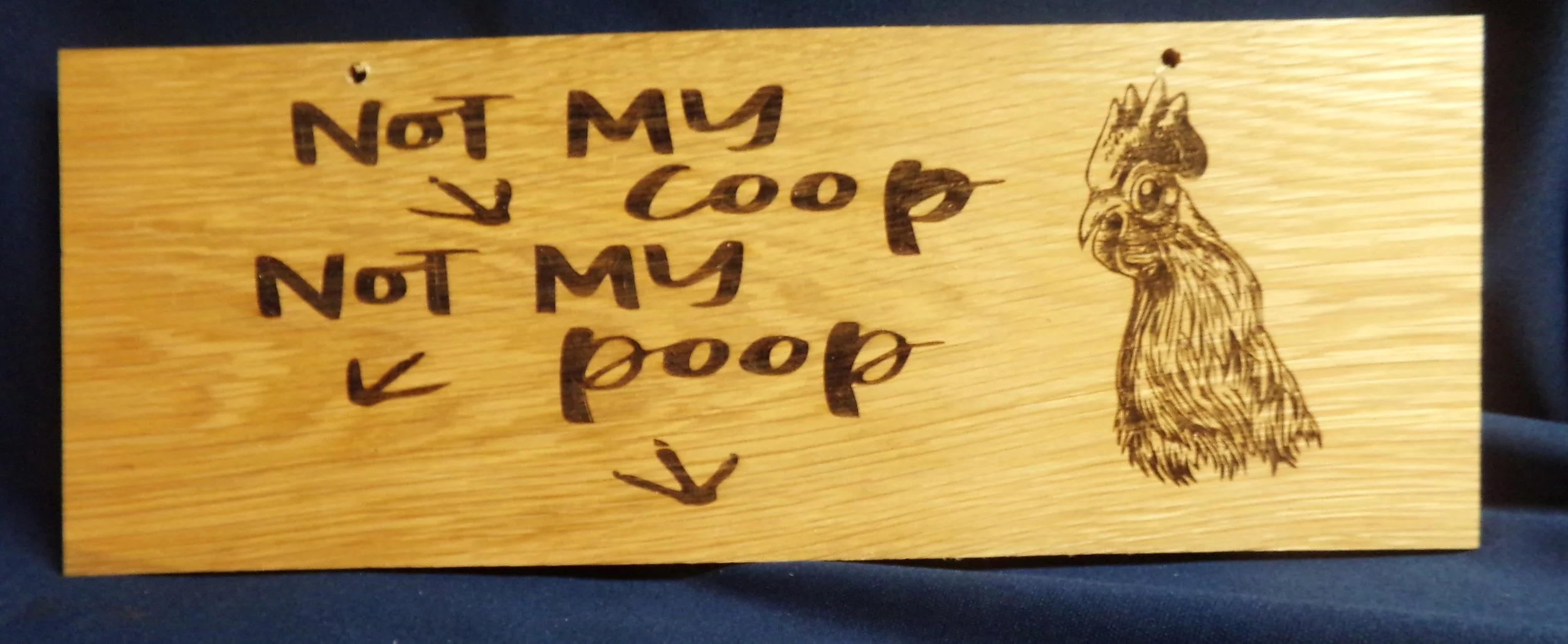 NOT MY POOP NOT MY COOP  HEN.JPG