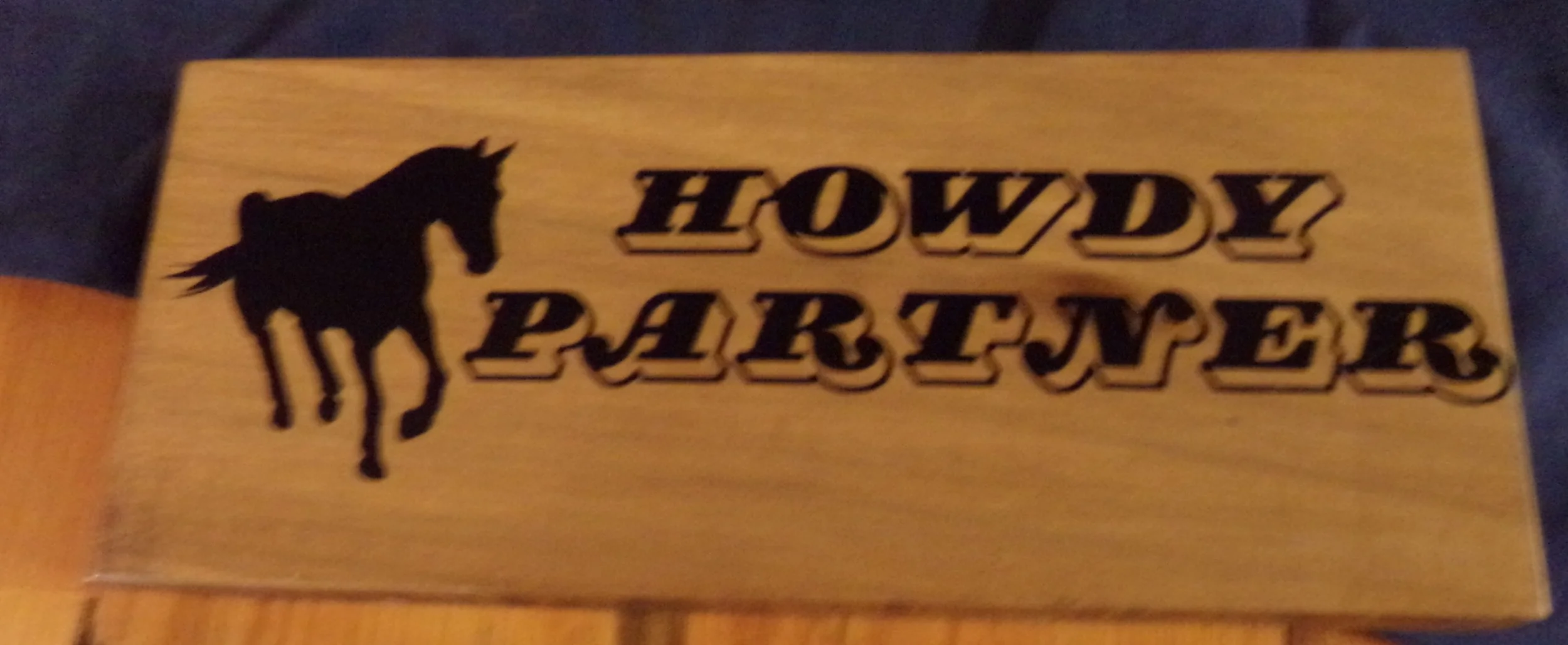 HOWDY PARTNER HORSE.JPG