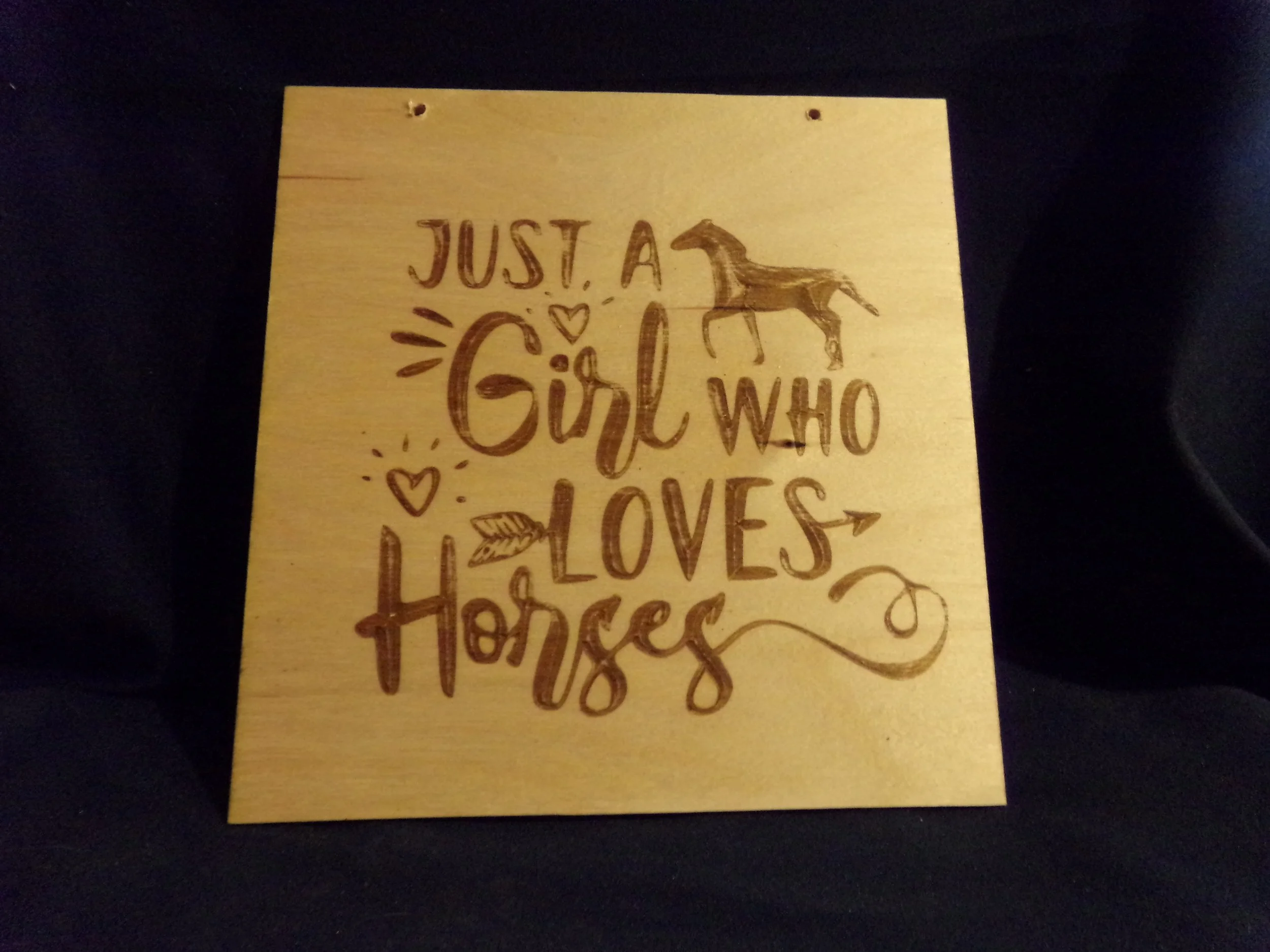 JUST A GIRL WHO LOVES HORSES.JPG