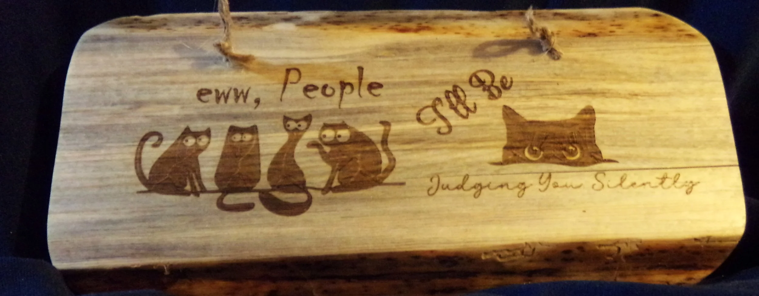 EEW PEOPLE  I'LL BE JUDGING YOU W PEEKING CAT AND CATS.JPG