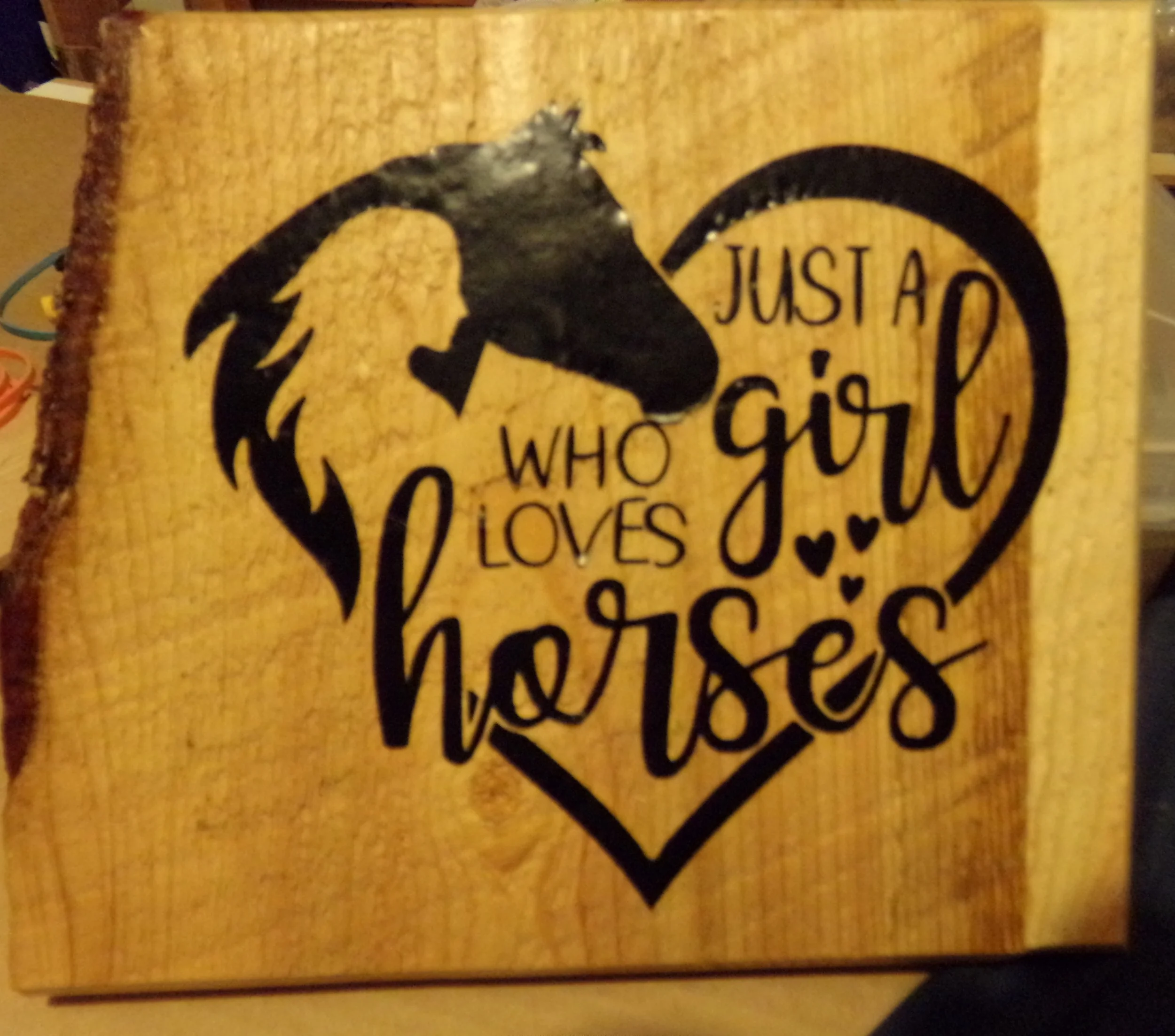 JUST A GIRL WHO LOVES HOSES HEART GIRL HORSE.JPG