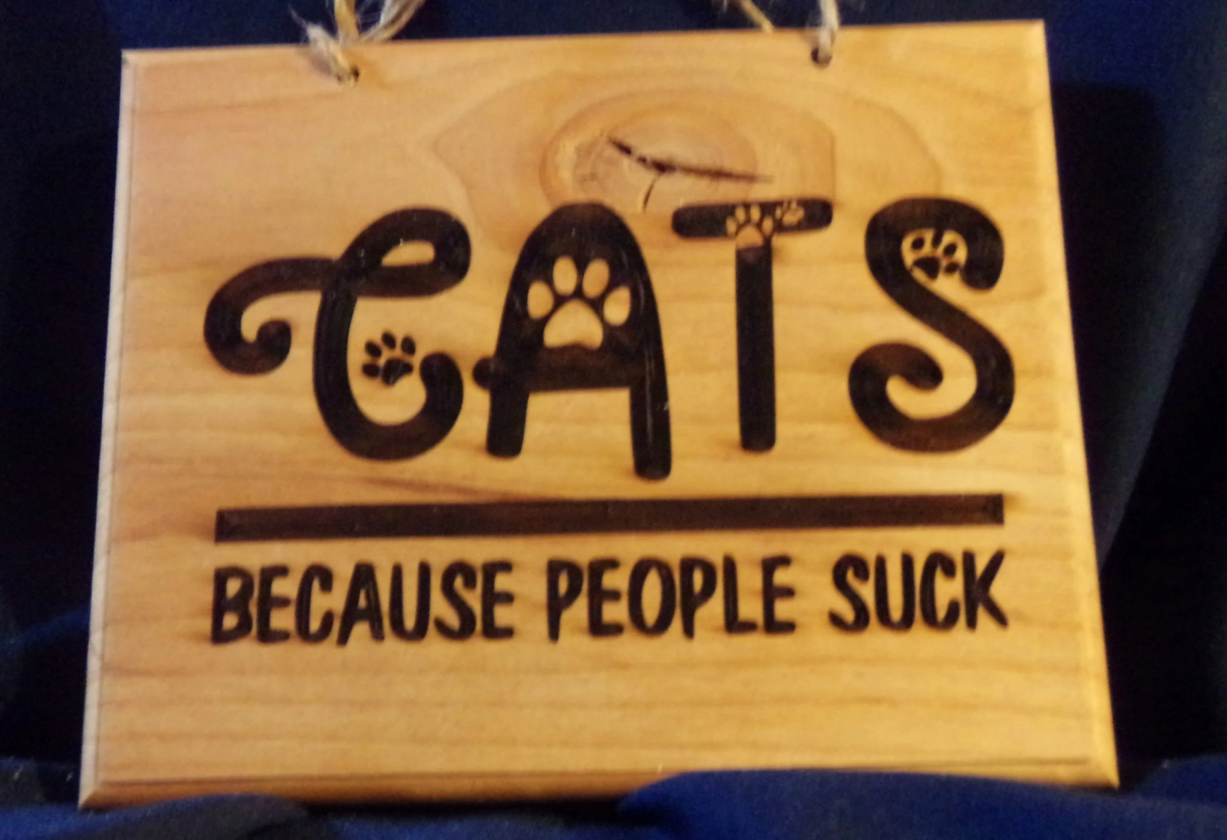 CATS BECASUE PEOPLE SUCK.JPG