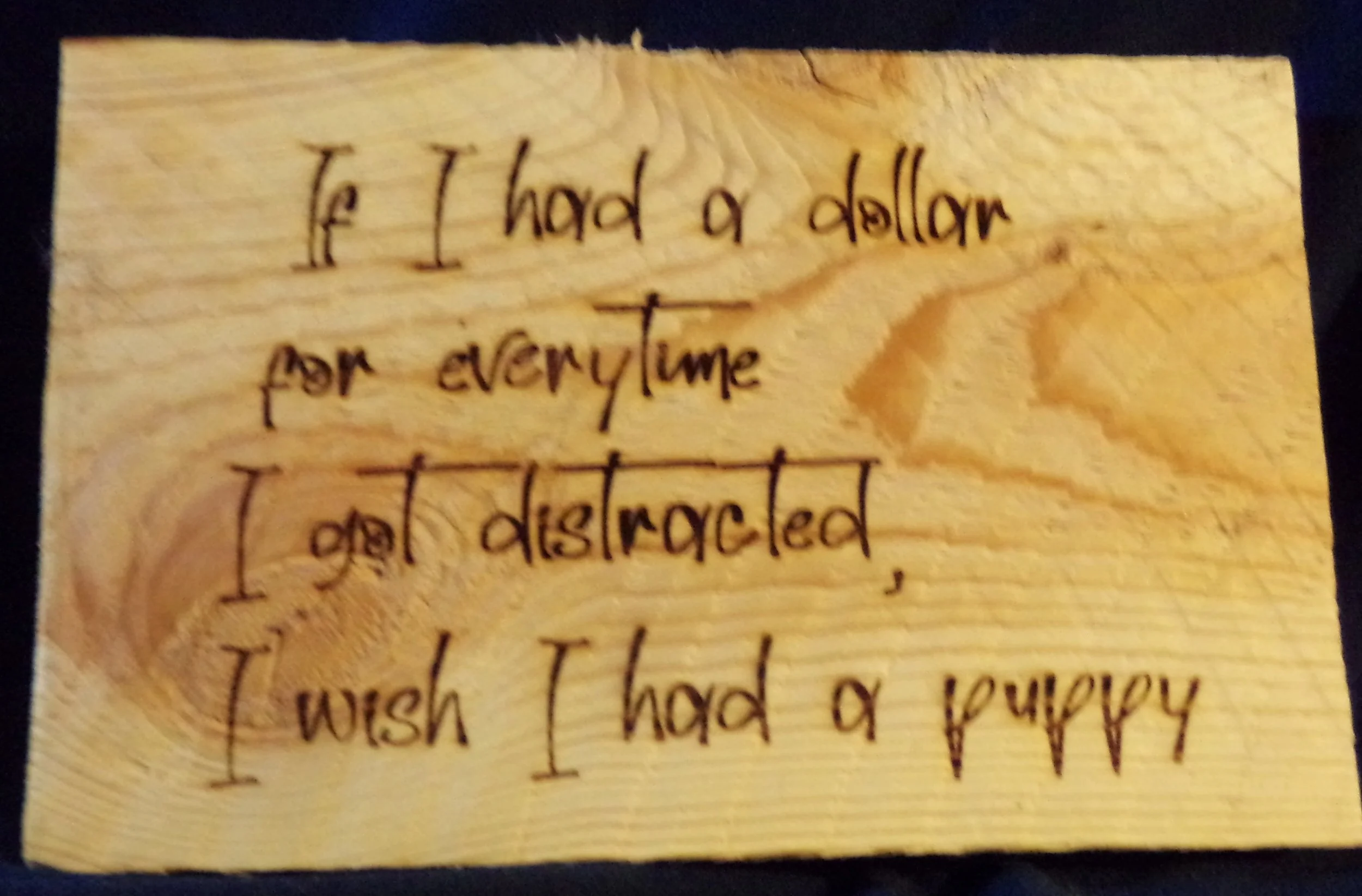 IF I HAD A DOLLAR FOR EVERYTIME I GOT DISTRACTESD..I WISH I HAD A PUPPY.JPG