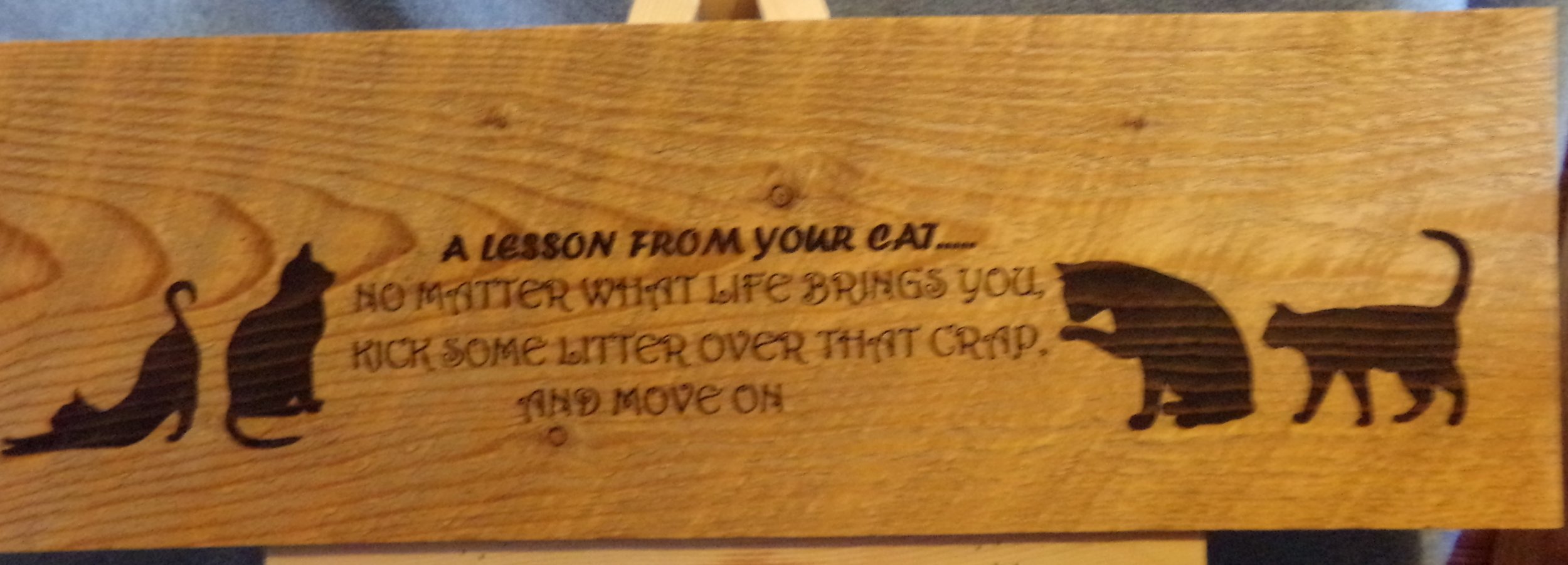ADVICE FROM YOU CAT.JPG
