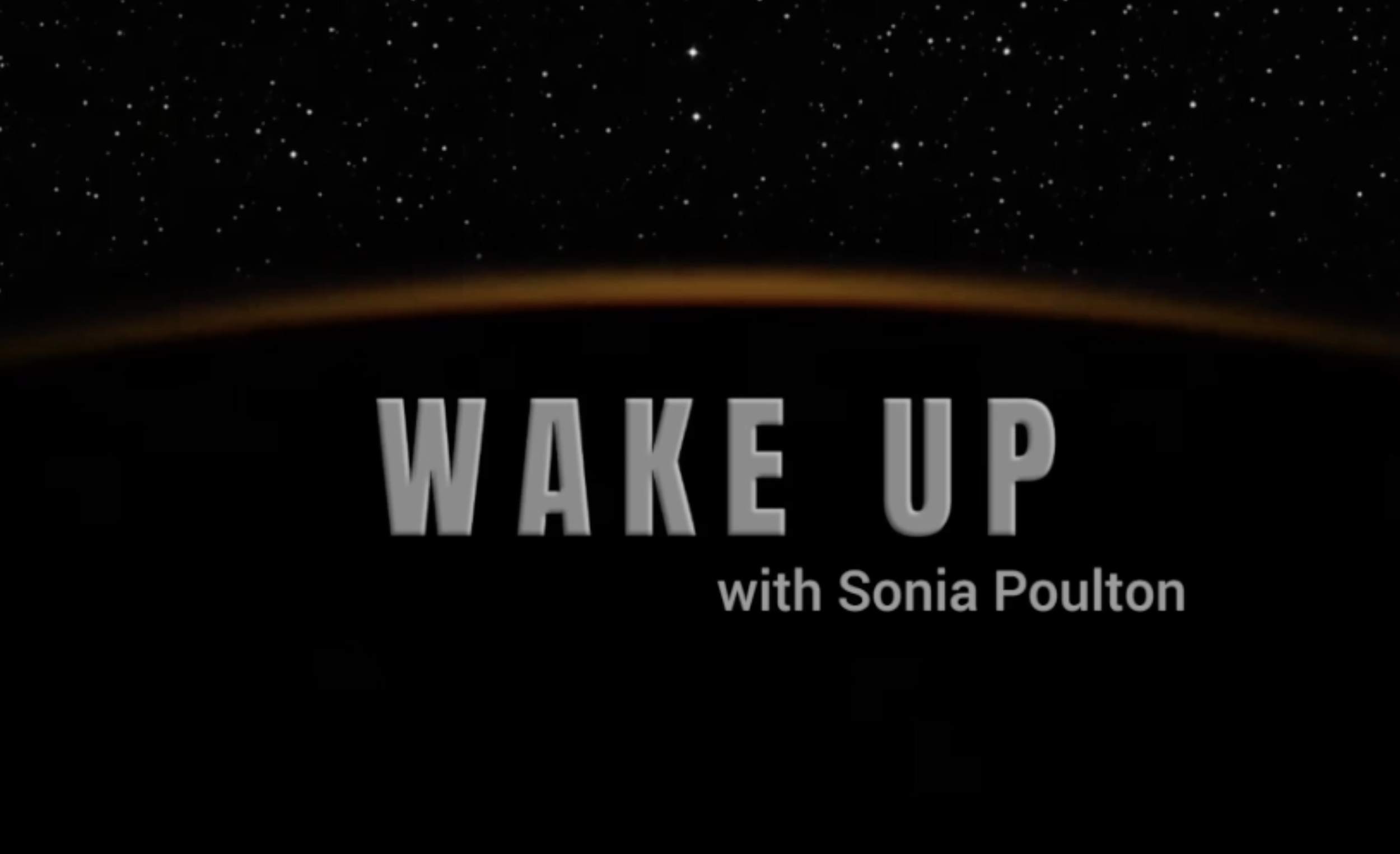 Party Leader and Clacton by-election candidate, Martin Davies, on the Wake Up With Sonia show