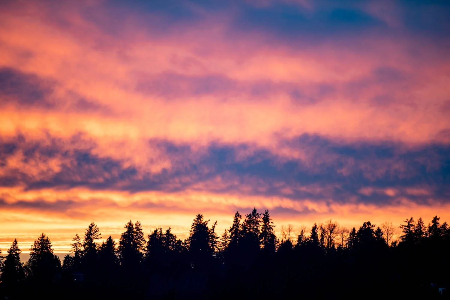 winter sky.jpg