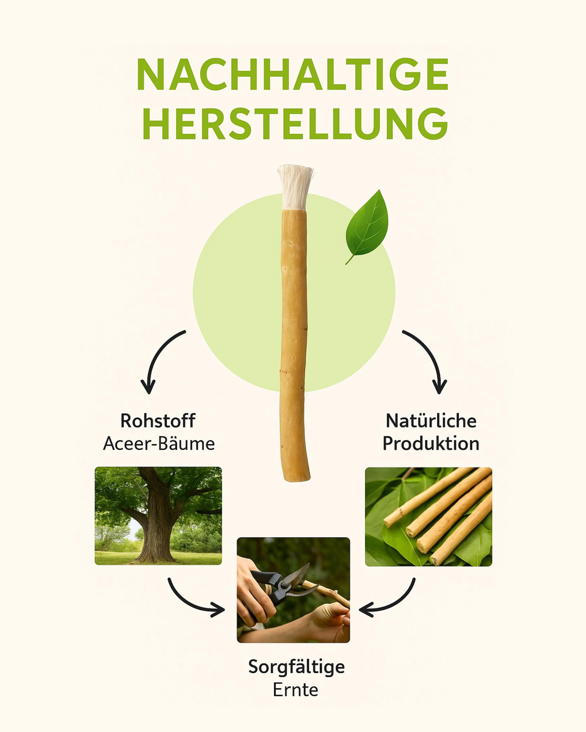 Design ohne Titel (33).png