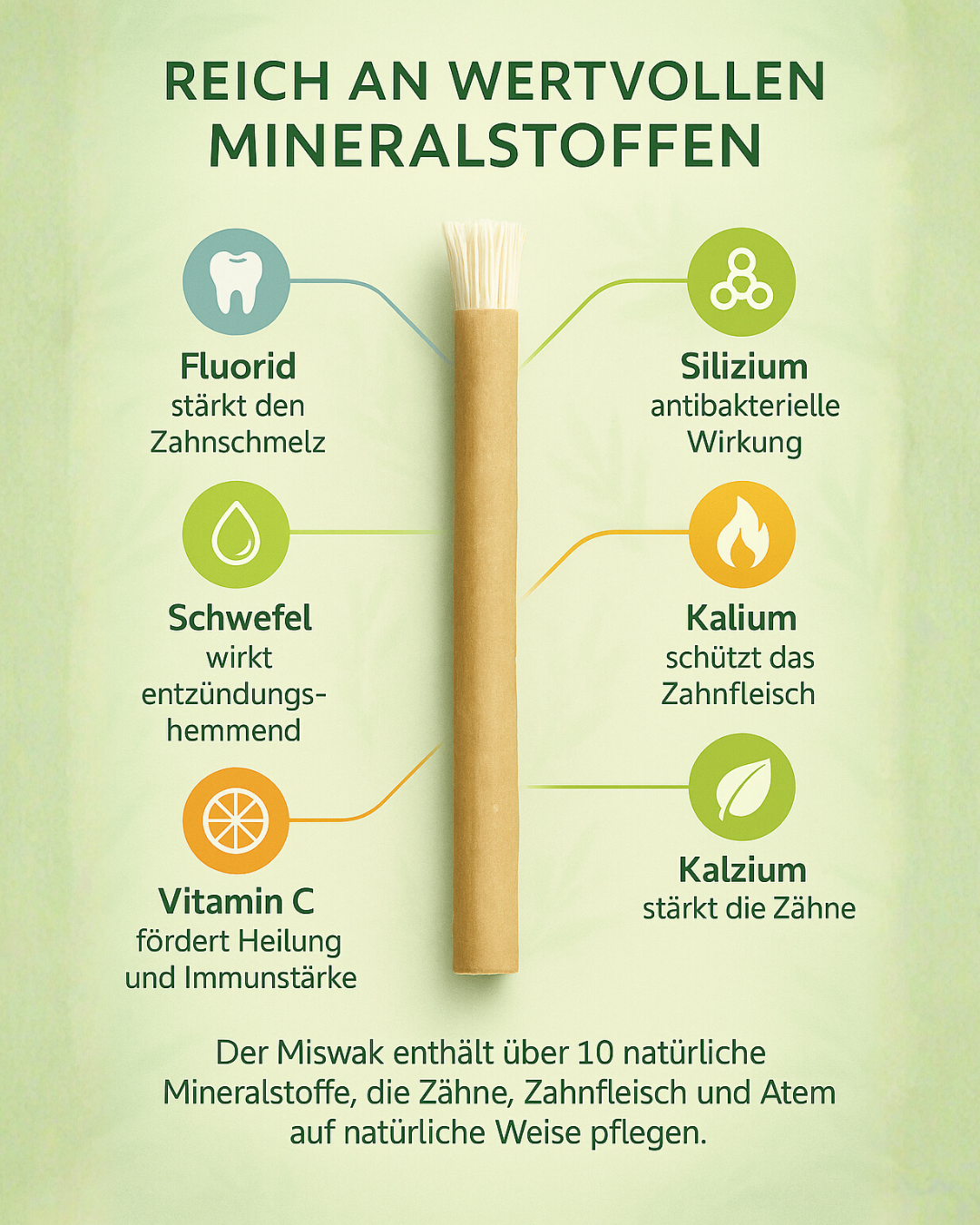 Design ohne Titel (38).png