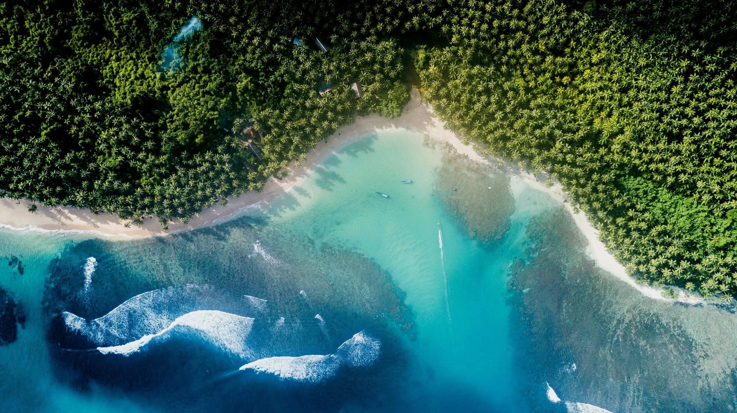 An aerial view of a tropical beach with turquoise water, white sandy shoreline, and dense green palm trees.