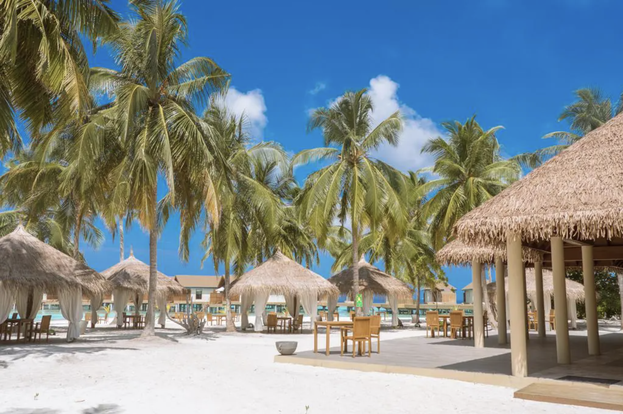 Beach scene with palm trees, thatched-roof huts, and outdoor tables under a clear blue sky.