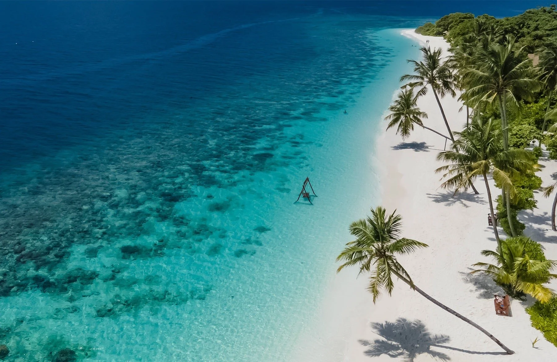 Aerial view of a tropical beach with a white sandy shoreline, tall palm trees, clear blue water, and a small wooden swing in the water near the shore.