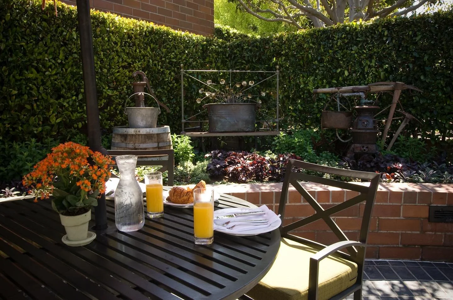 Fridays are for brunching 🌞 🥂 Kick off the weekend right at Tiato with delicious food, drinks and the best atmosphere ✨ 🎍 #brunchfridays #tiatomoments #santamonica #brunch #foodie #food #santamonicaeats