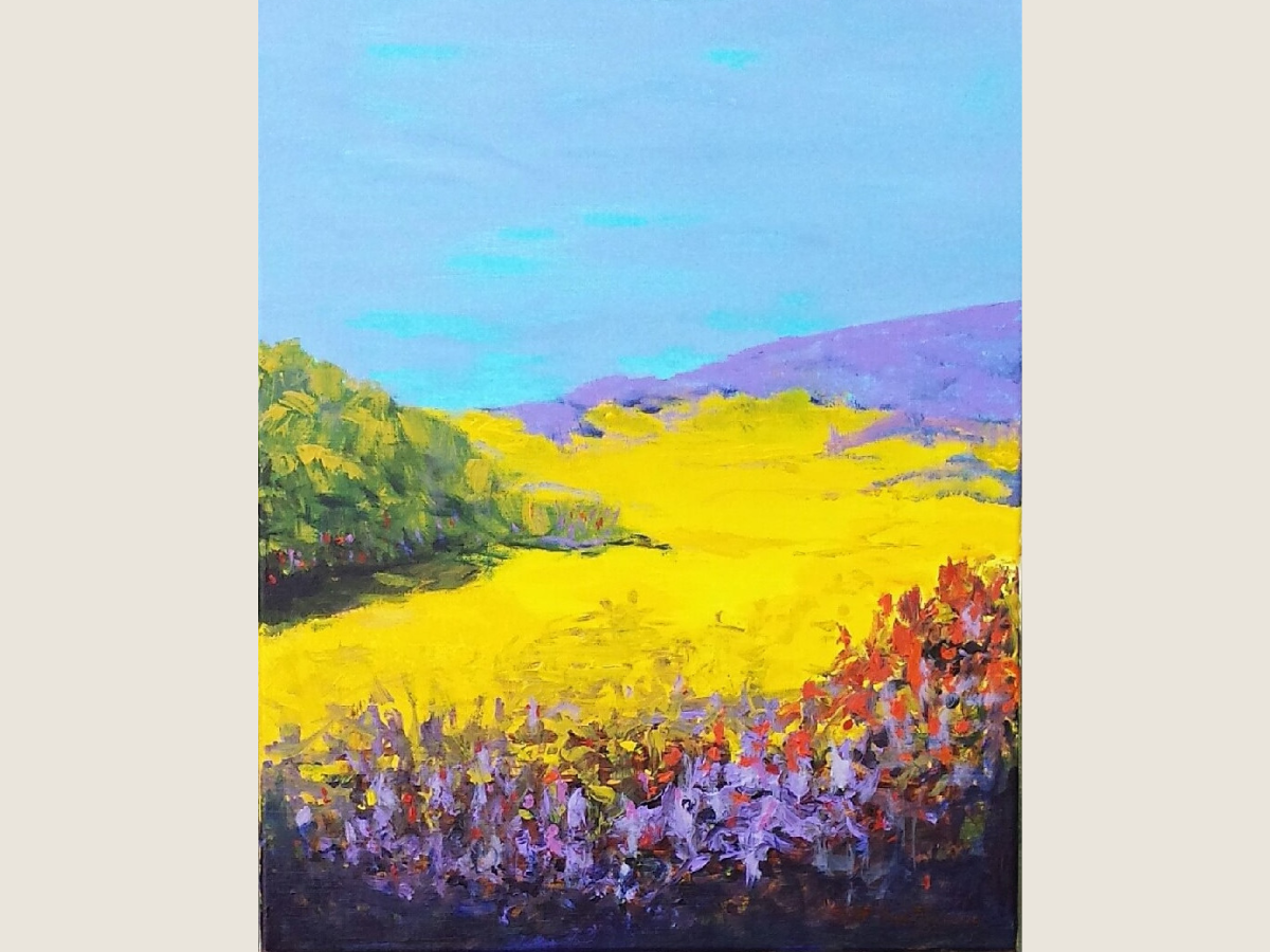 Untitled Field #40544