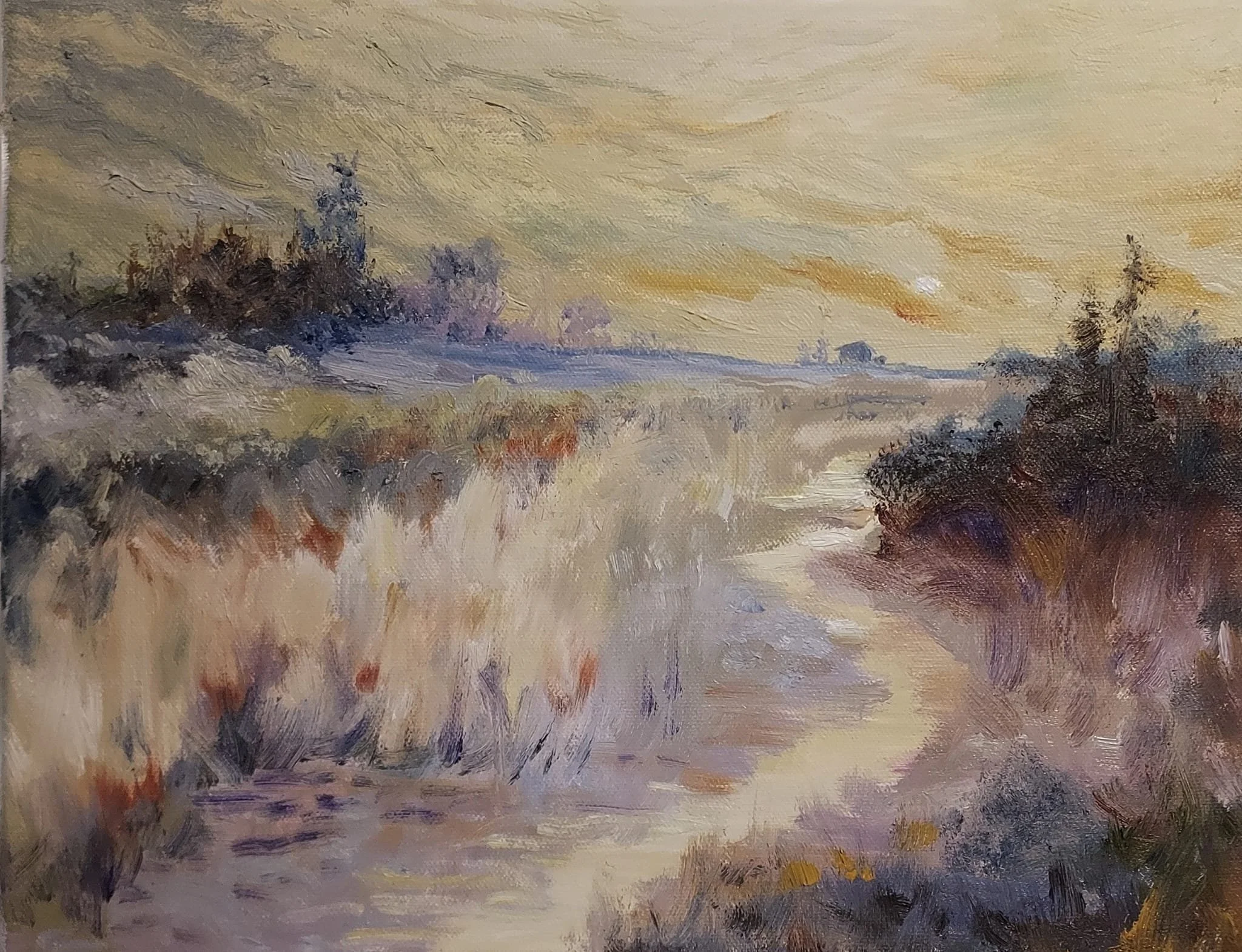 Sold Untitled Oil on canvas. 11"x14" 2024