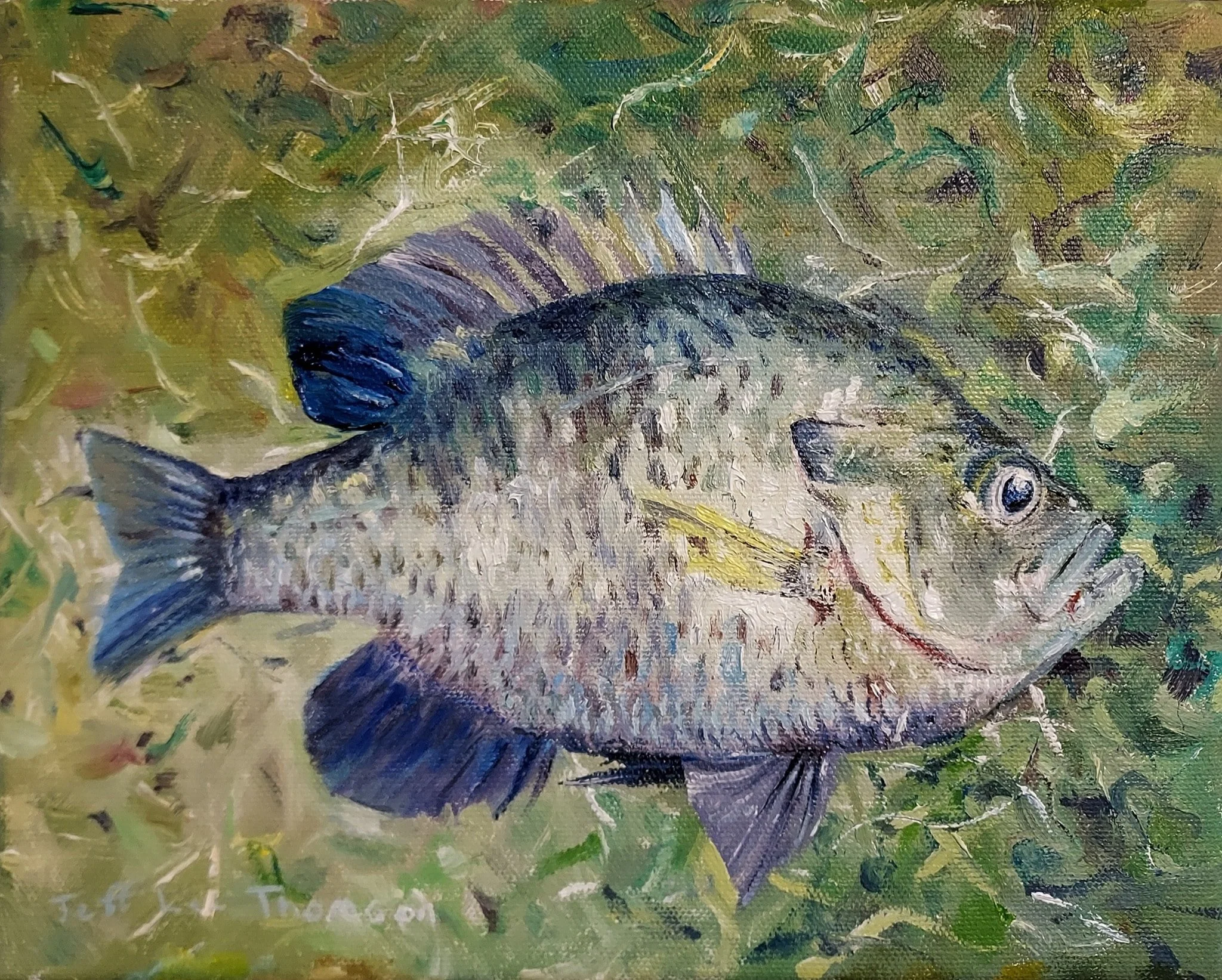 $200  " Fish On Grass" Oil on canvas. 8"x10" 2022