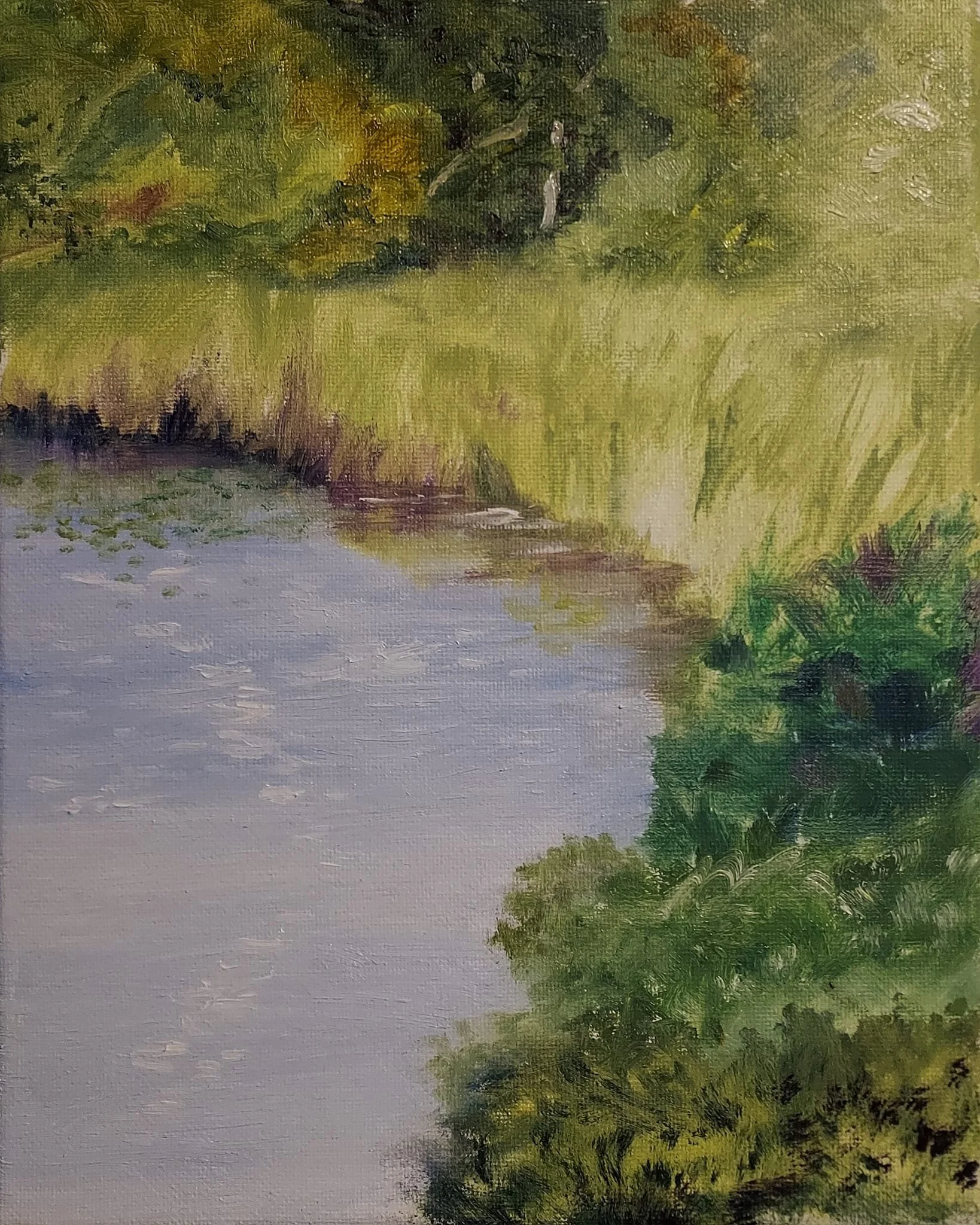 $275 "Shoreline Reeds" Oil on canvas. 8"x10" 2024