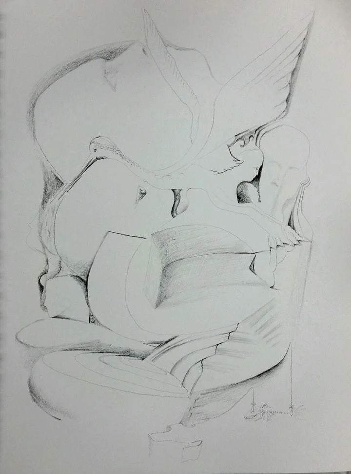 $150 "If You Could See What I See" Graphite on paper. 9"x12" 2016