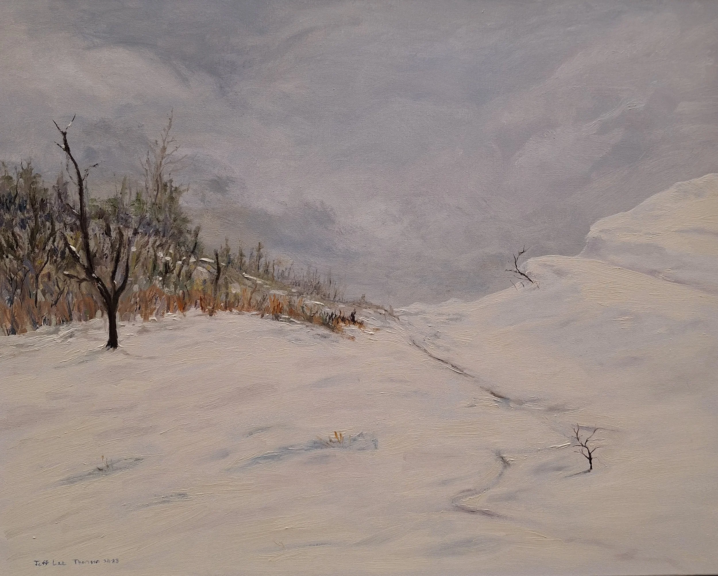 $900 "The Snow I Imagine " Oil on gallery wrap canvas. 24"x30" 2023