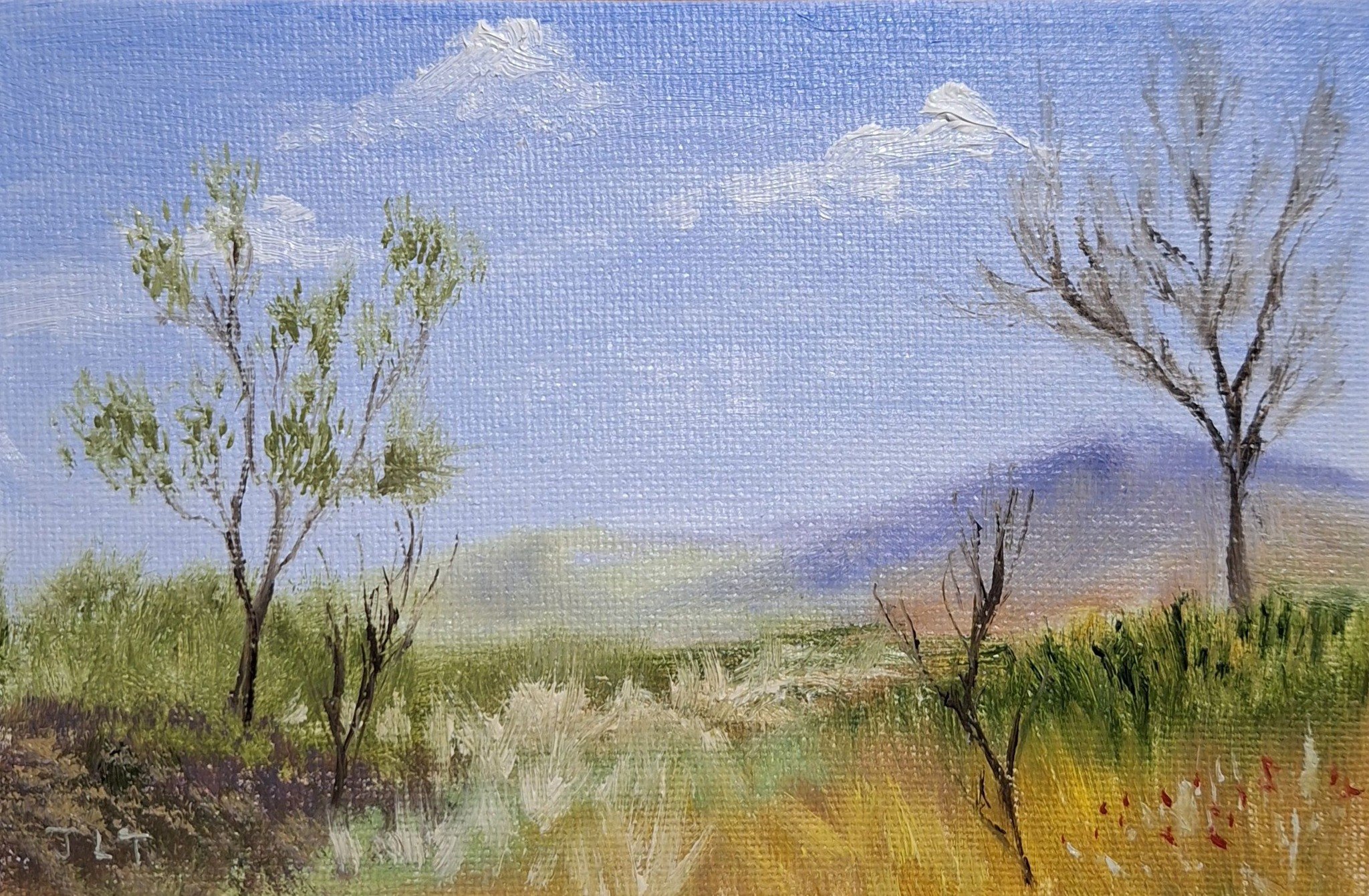 $175 " Trees Telling Stories"  Oil on Canvas panel. 4"x6" 2025