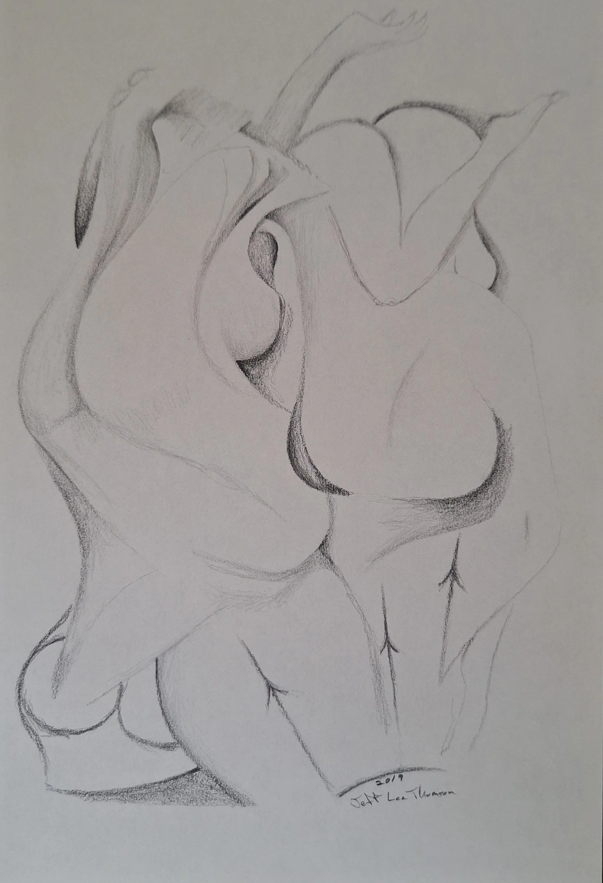 $100 "The Fence" pencil on paper. 5.5"x8.5" 2019