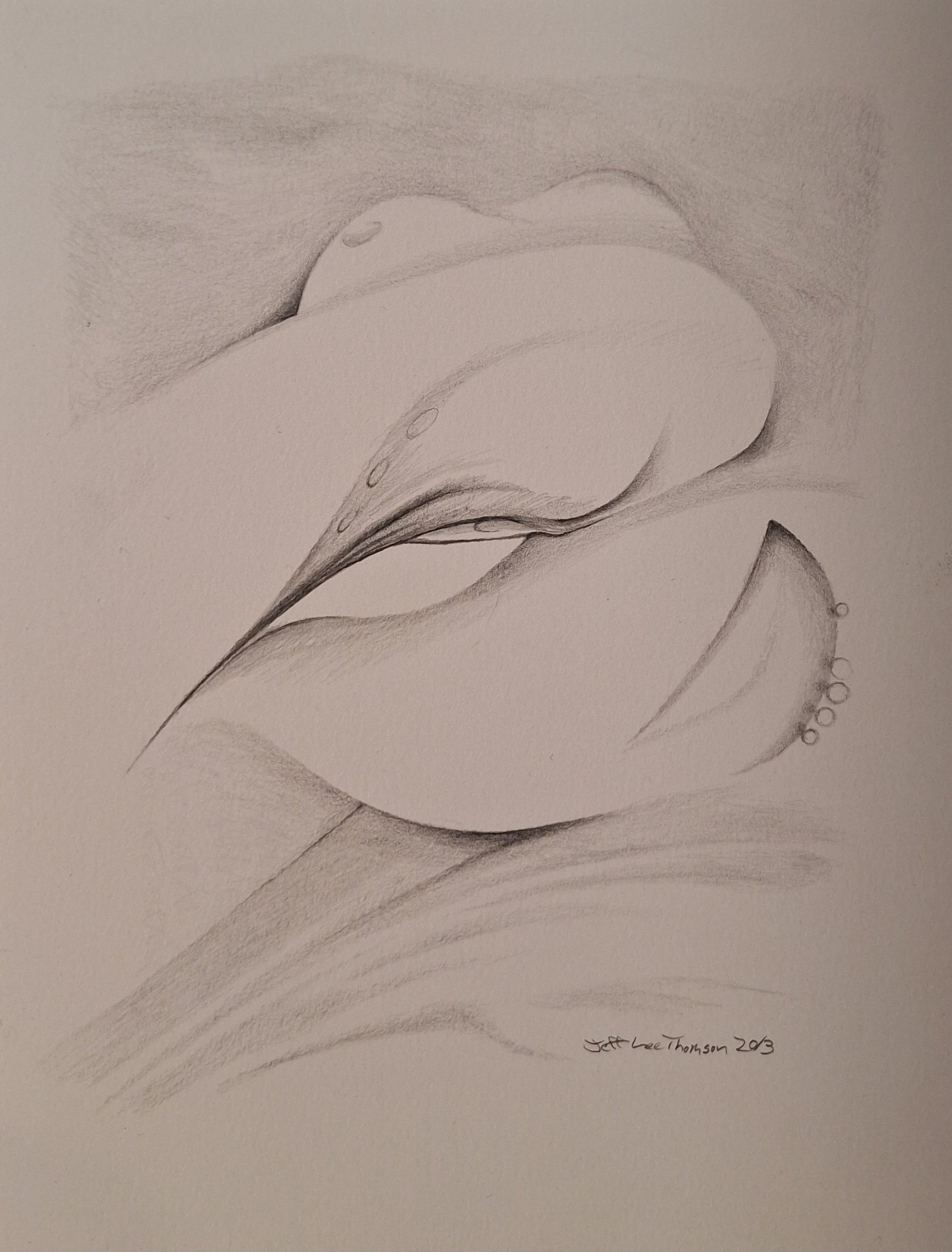 $100 "Nude Curves" graphite on paper. 6"x9" 2013