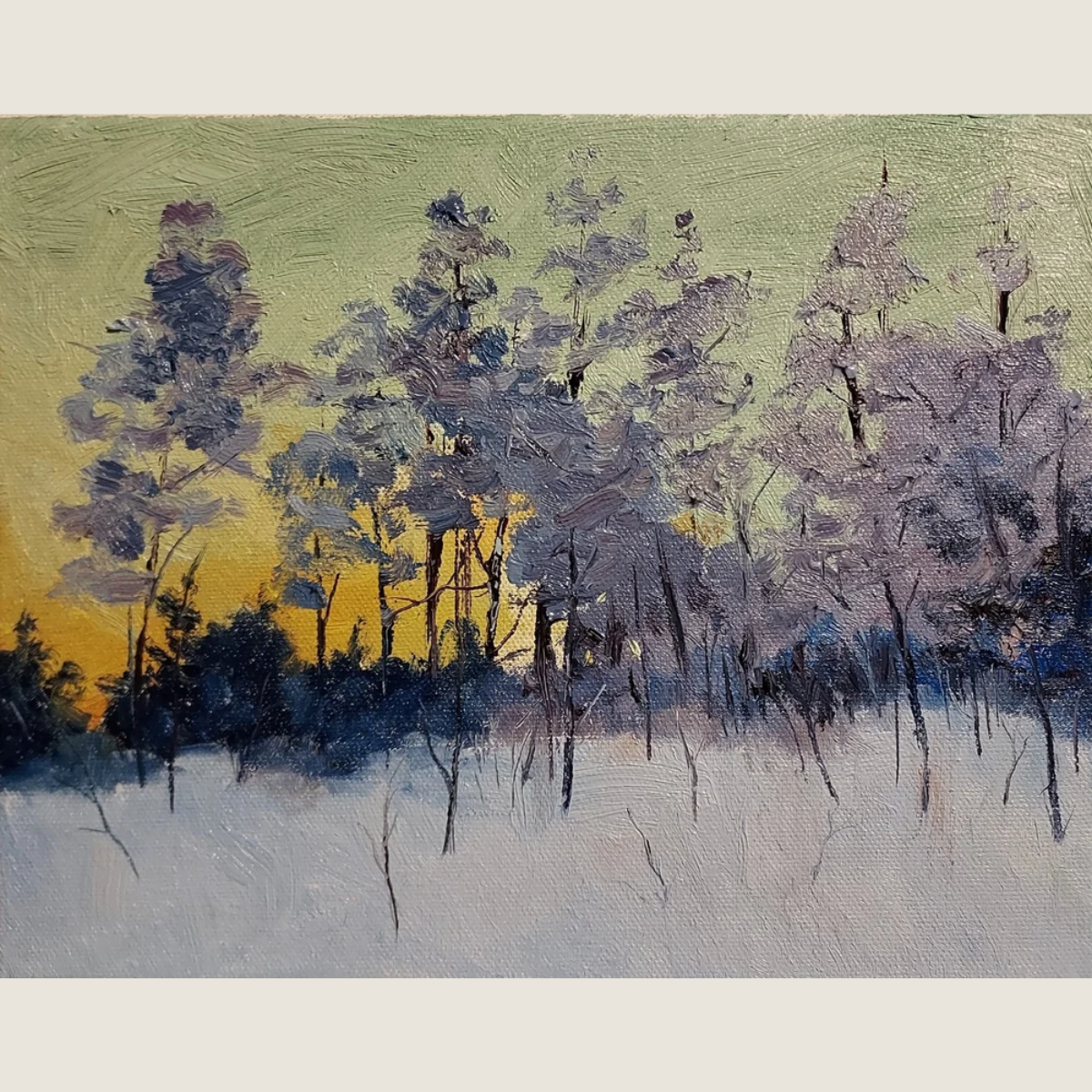 Untitled Forest #80766