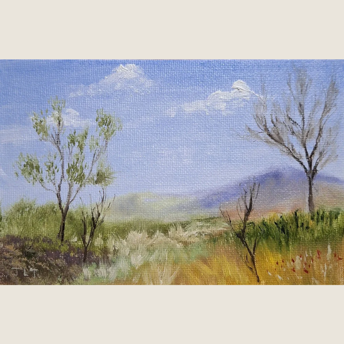 Trees Telling Stories