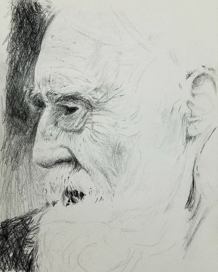 $200 Pencil on paper. 8"x10" 2017.