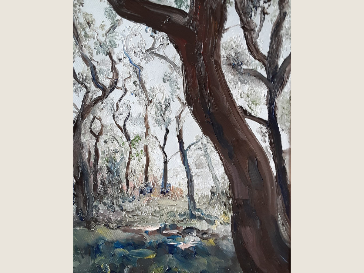 Untitled Forest #38200