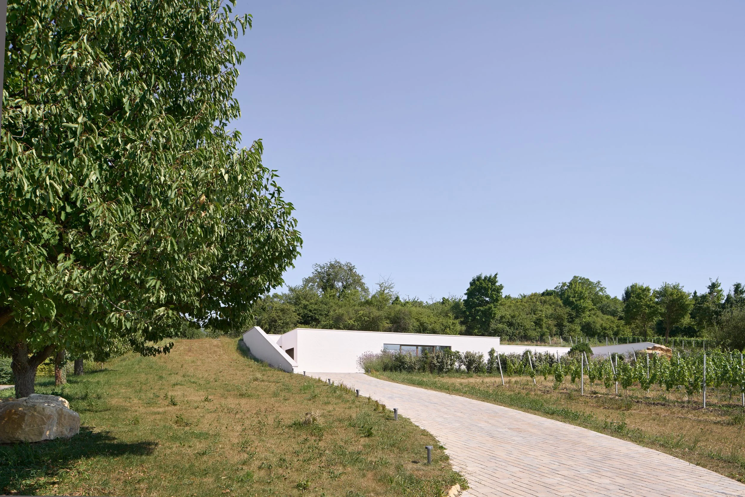 Haus im Weinberg, Bruchsal, von Henecka Architekten BDA, Ein moderner, weißer Gebäude mit geradlinigem Design in einer grünen, hügeligen Landschaft, umgeben von Bäumen und einer gepflasterten Fußgängerstraße.