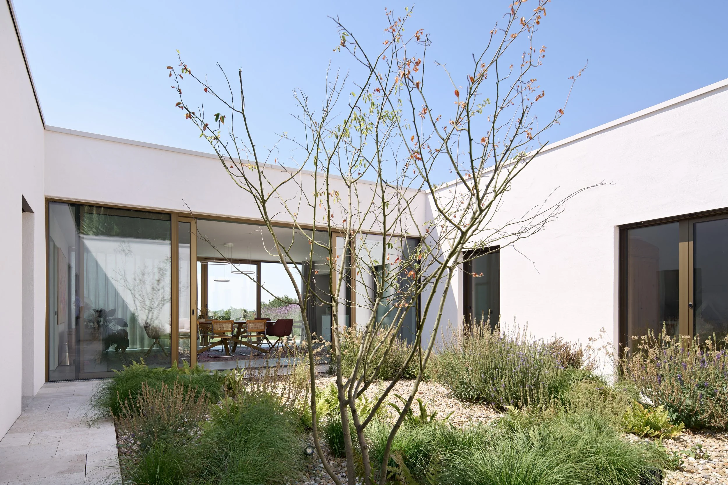 Haus im Weinberg, Bruchsal, von Henecka Architekten BDA, Moderner Innenhof mit einem Obstbaum im Vordergrund, große Glasfenster und eine Terrasse im Hintergrund bei sonnigem Wetter.