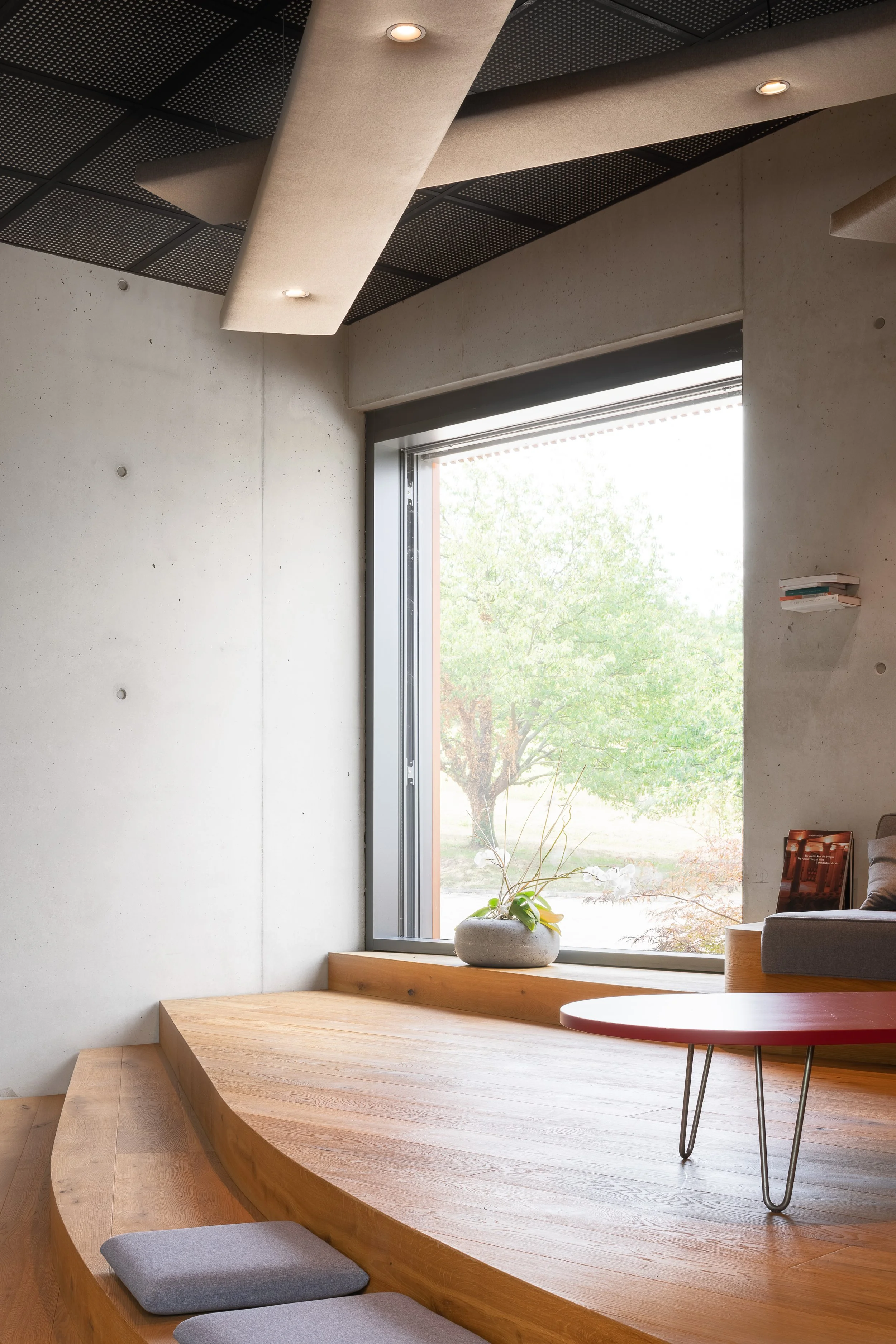 Moderner Raum mit großem Fenster, Frühlingserwachen draußen, niedrige Holzstufe als Sitzgelegenheit, Topfpflanze, roter Tisch, graue Sitzkissen, minimalistisches Design, hell und offen.