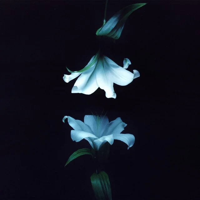 Wasia Project presents a matured sound with ‘Nocturne’