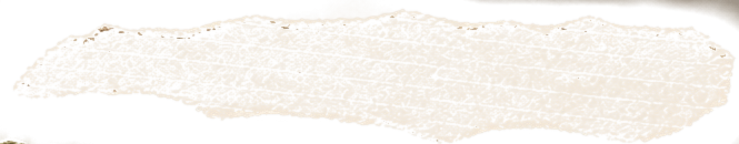 A torn piece of beige lined paper with rough edges.